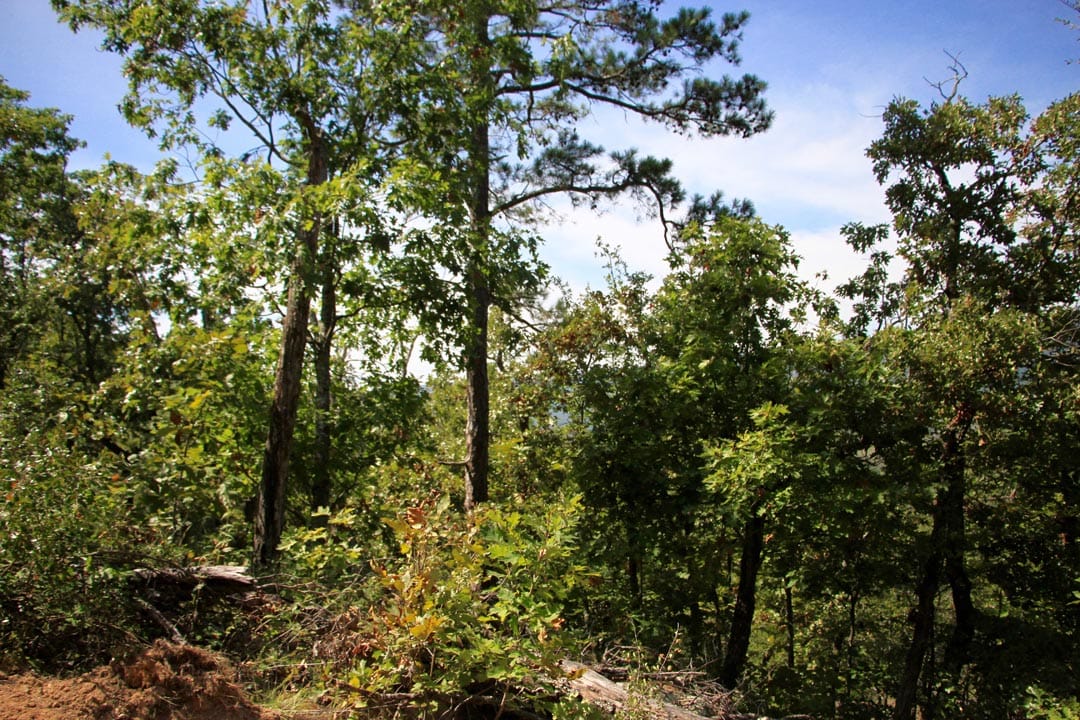 Lakeview Private Reserve Tract 14 photo 8