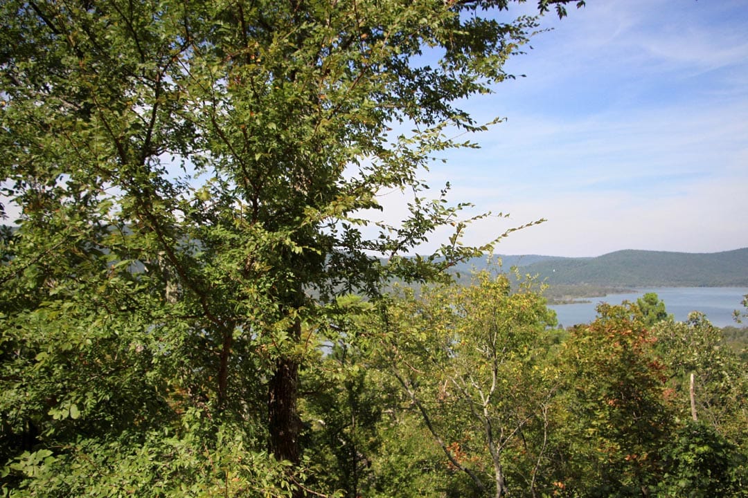 Lakeview Private Reserve Tract 14 photo 9
