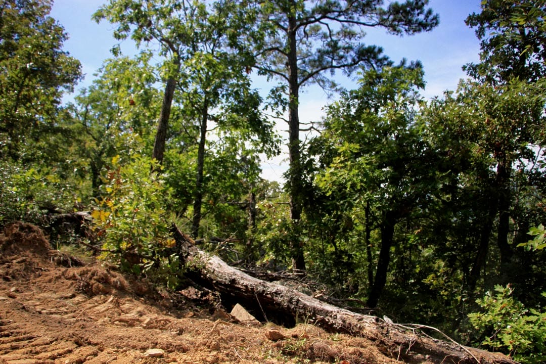 Lakeview Private Reserve Tract 14 photo 12
