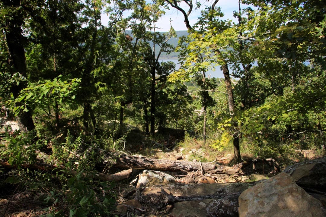 Lakeview Private Reserve Tract 14 photo 13