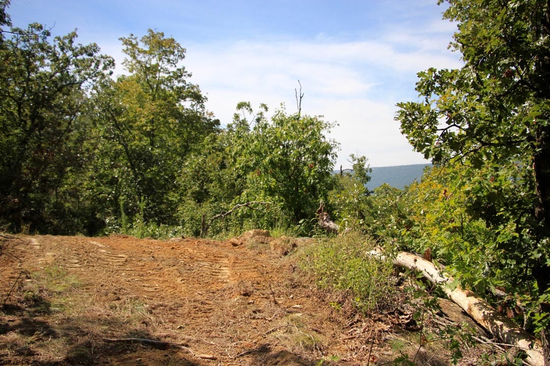 Lakeview Private Reserve Tract 14 photo 14