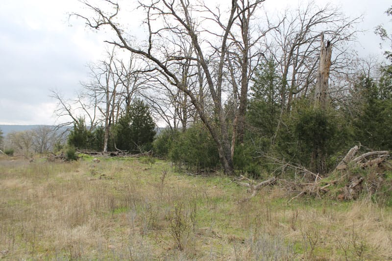 Daisy Meadows Tract 3 photo 2