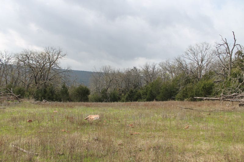 Daisy Meadows Tract 3 photo 3