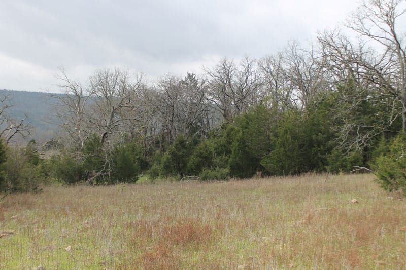 Daisy Meadows Tract 3 photo 4