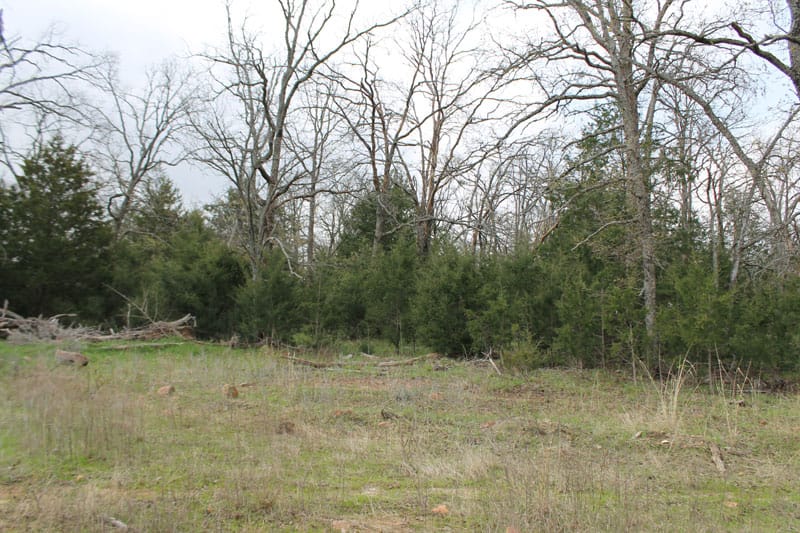 Daisy Meadows Tract 3 photo 5