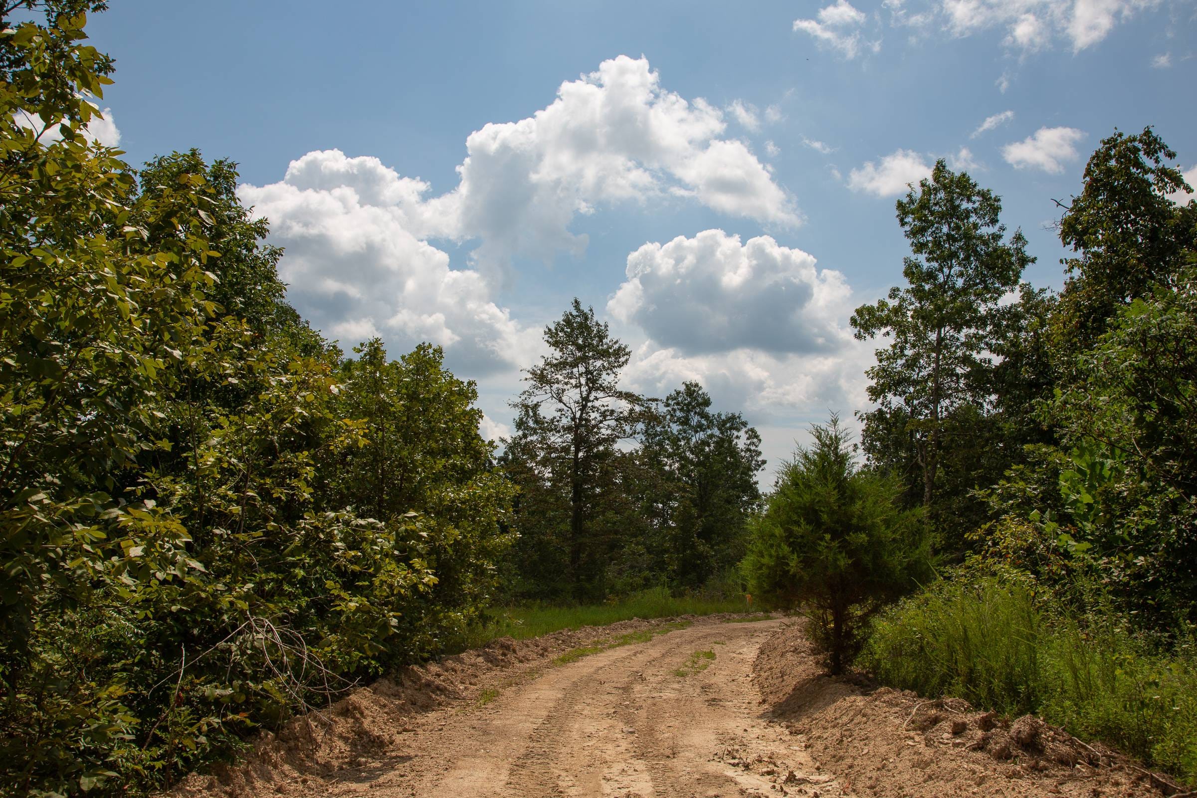 Borgmann’s Hollow Phase I Tract 7 photo 10