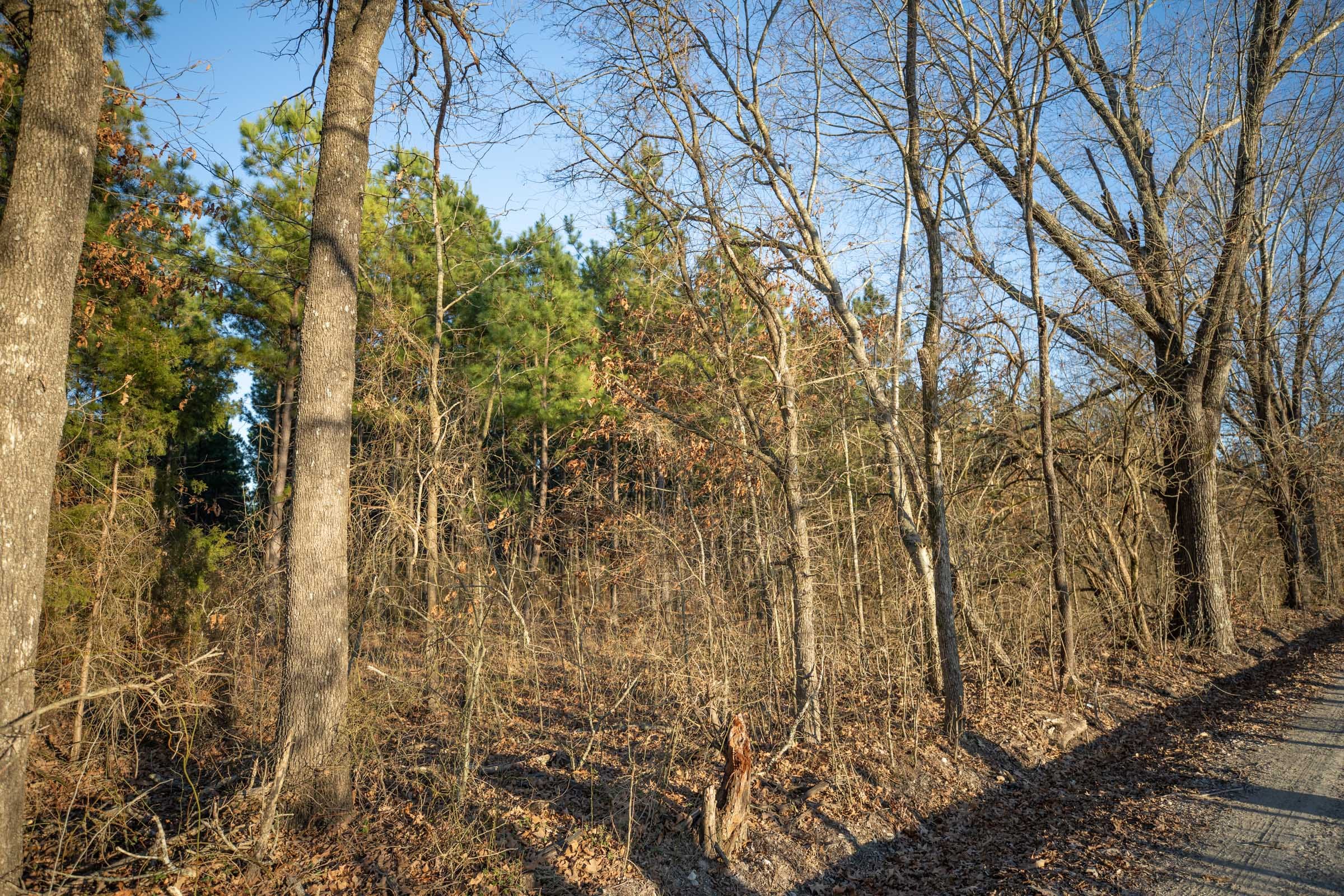 Wishing Star Ranch Tract 52 photo 4