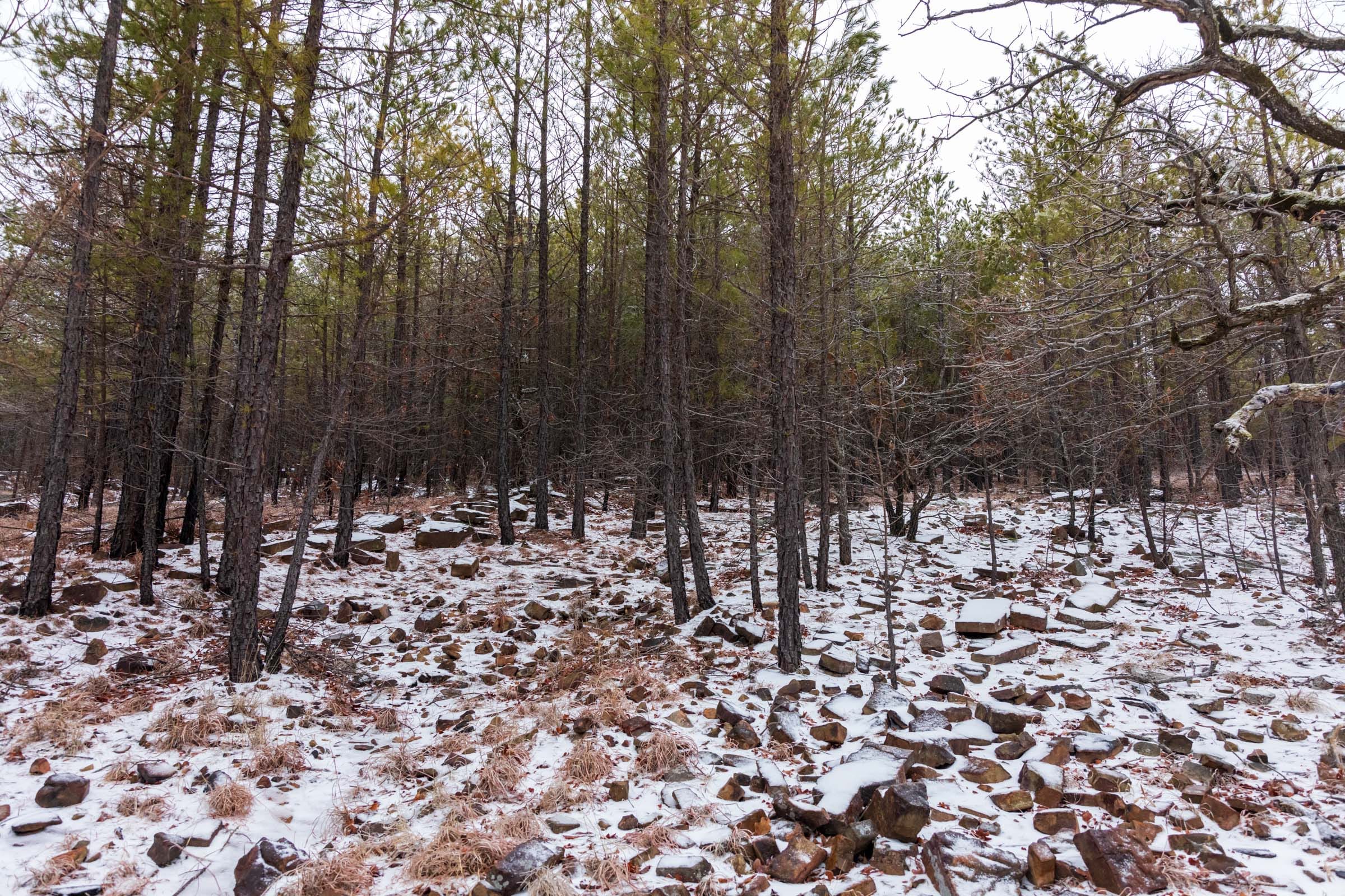 Stone Bridge Phase IV Tract 280 photo 5