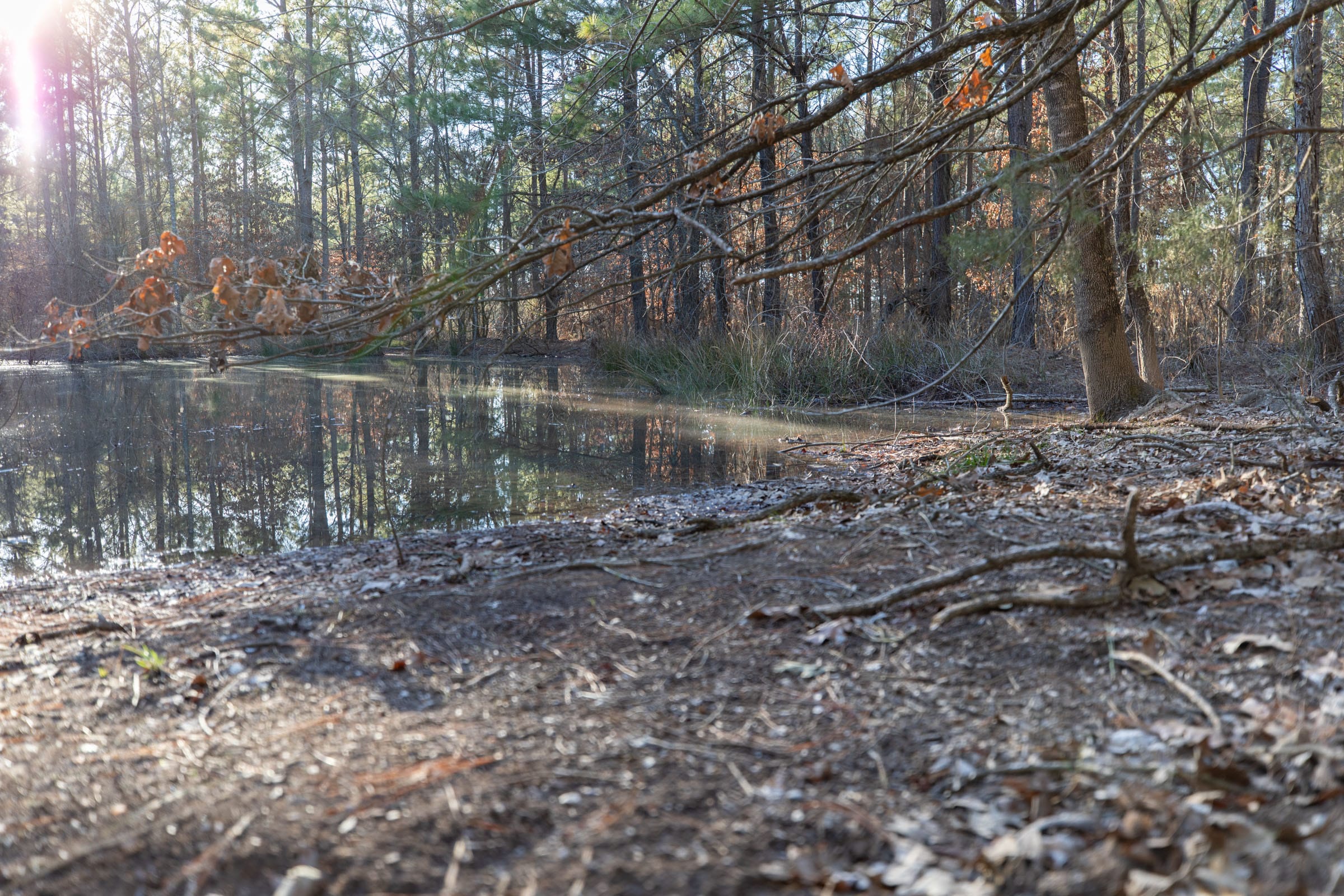 Wishing Star Ranch Tract 55 photo 2
