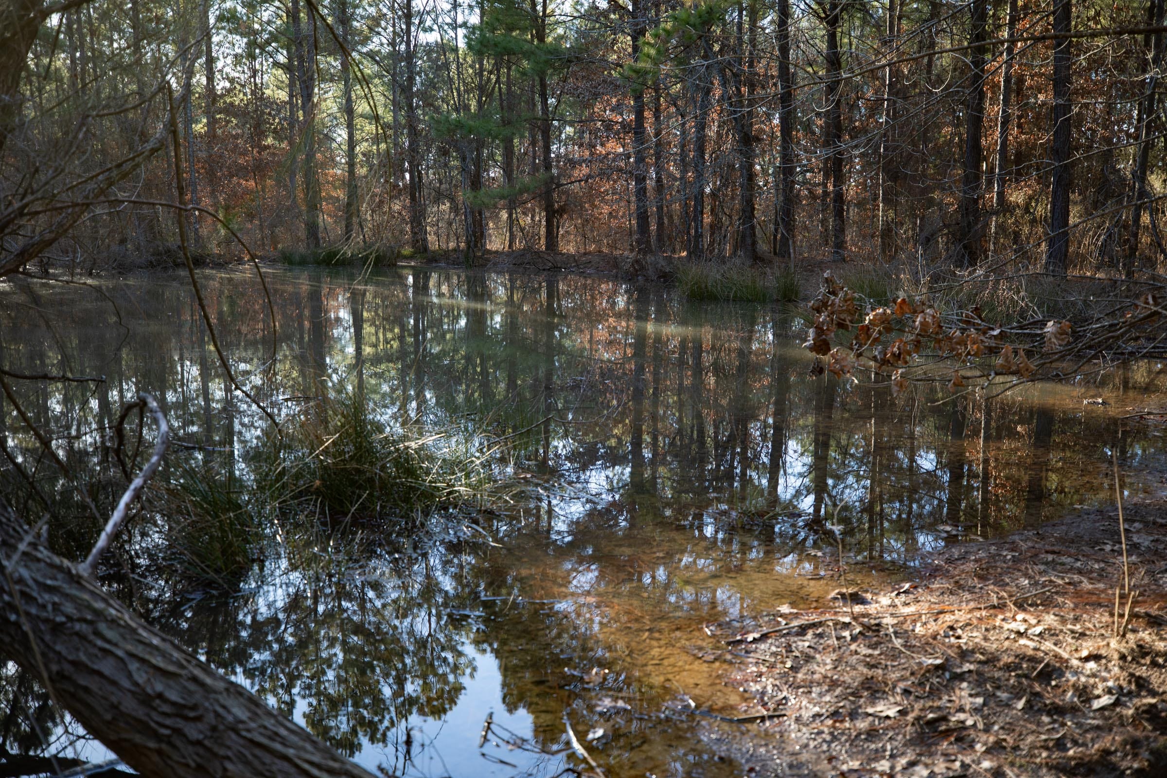 Wishing Star Ranch Tract 55 photo 3