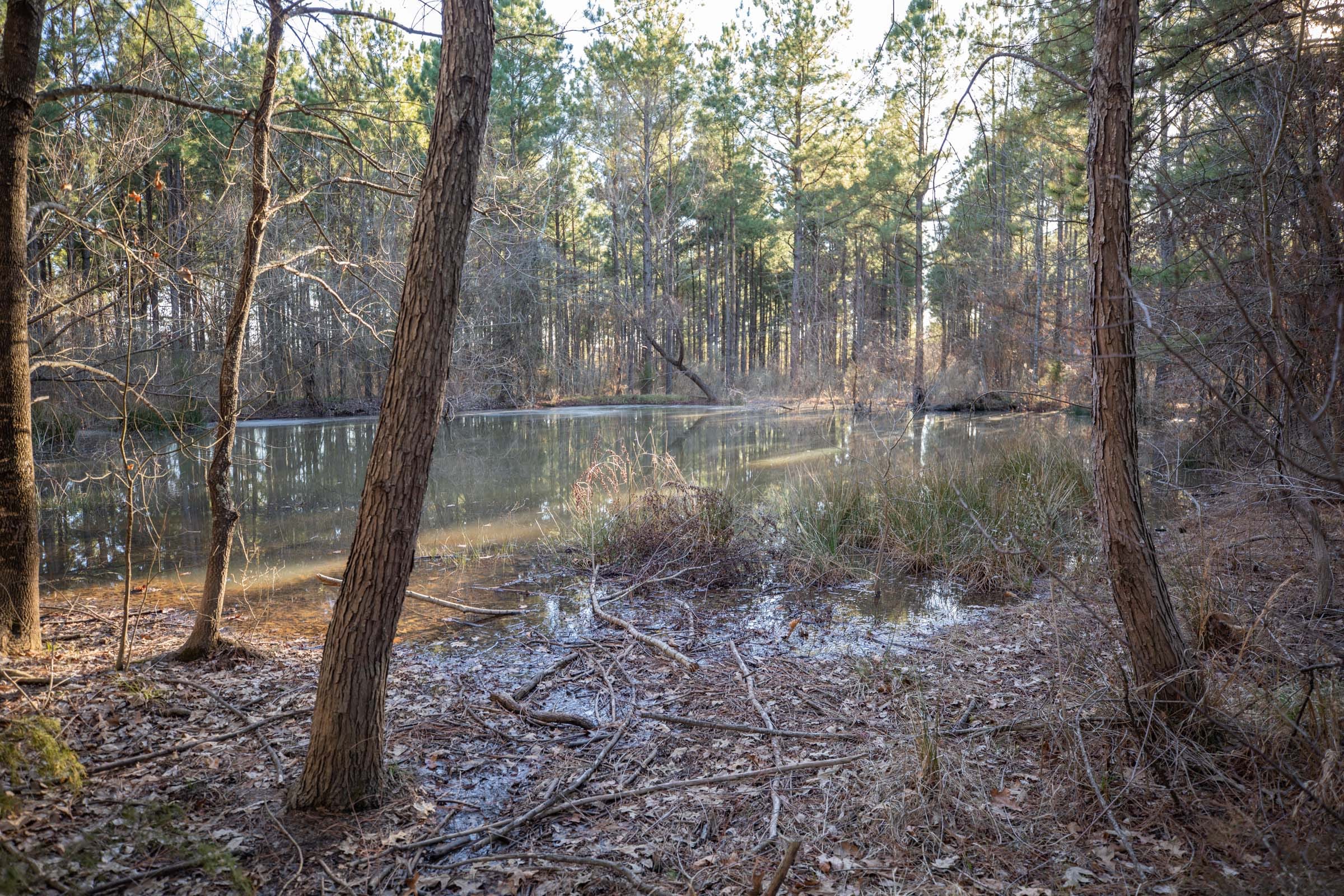 Wishing Star Ranch Tract 55 photo 4