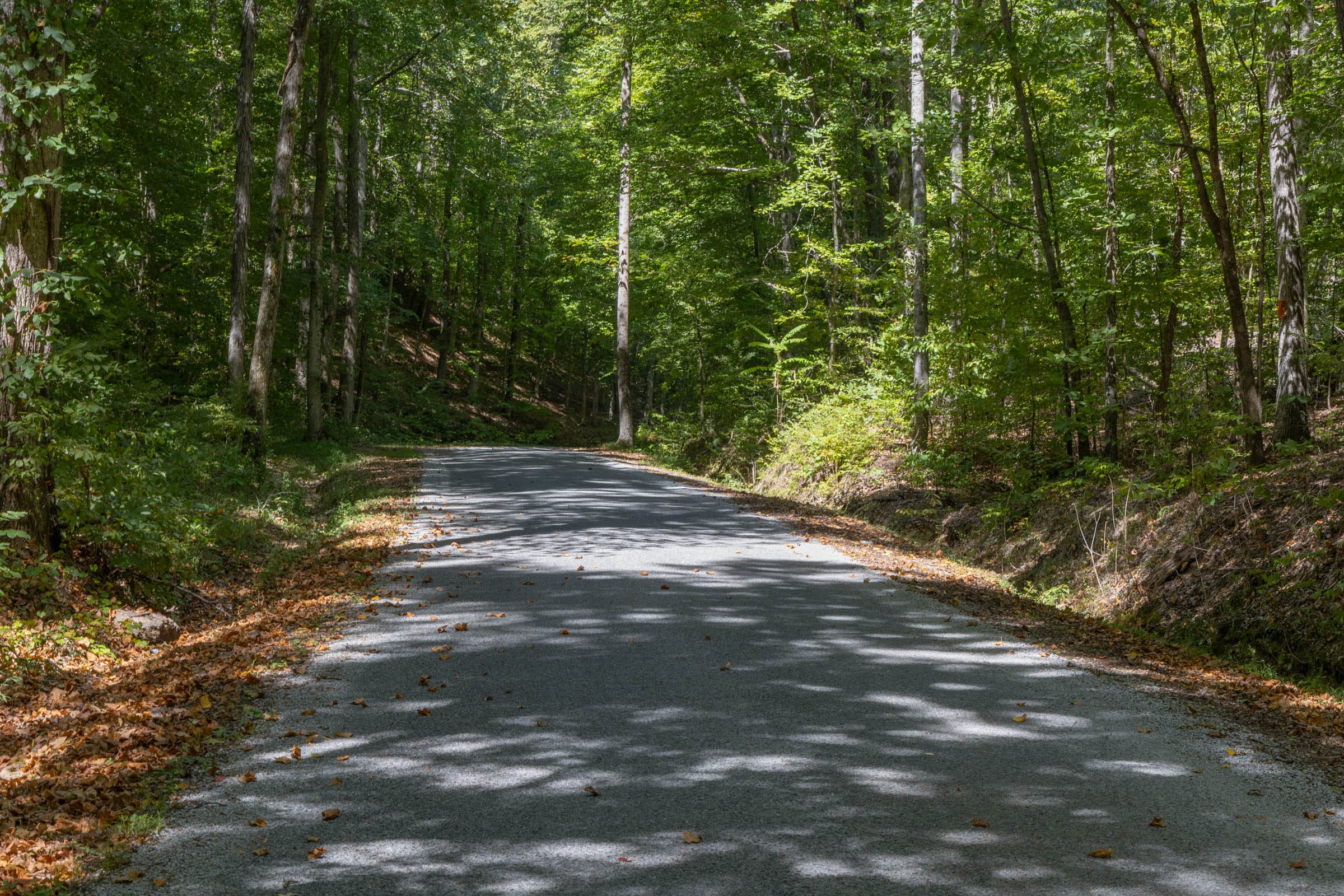 Big White Oak Tract 26 photo 1