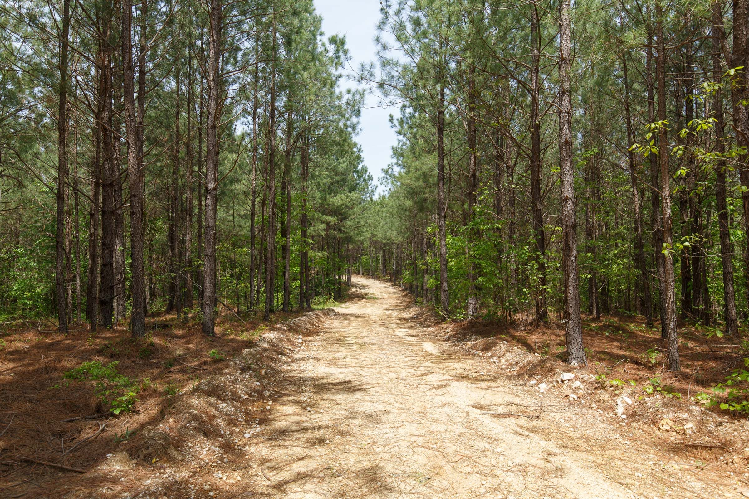 Red Barn Ranch Tract 62 photo 1