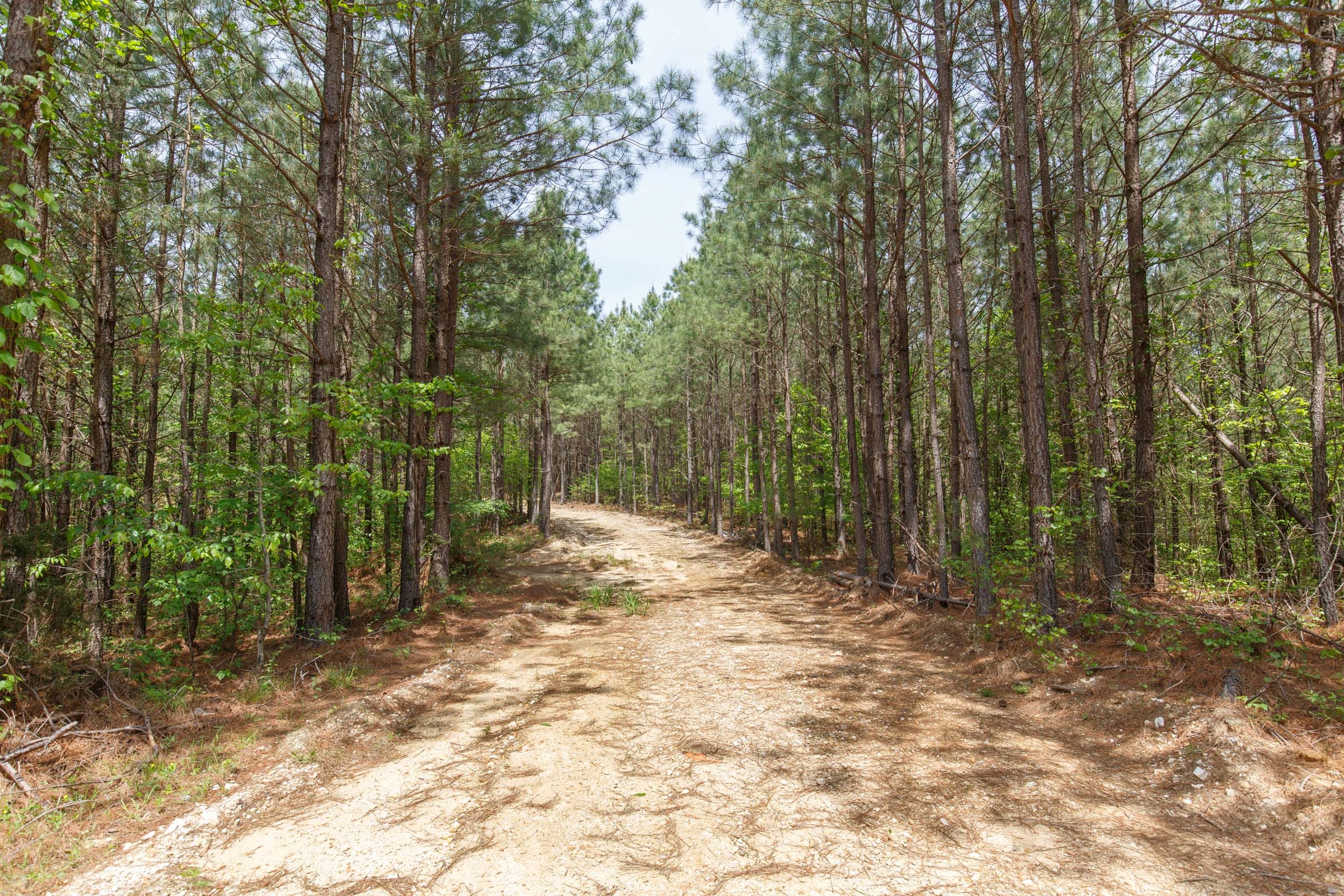 Red Barn Ranch Tract 62 photo 5