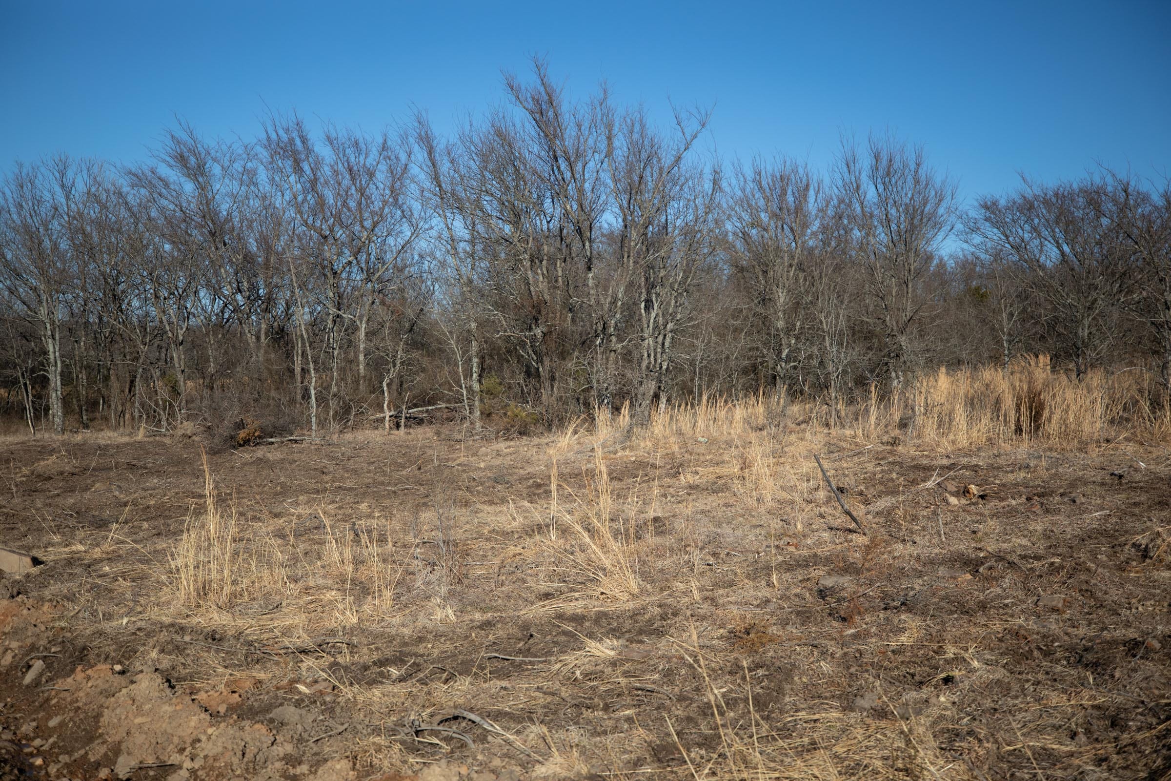 Painted Horse Tract 54 photo 3