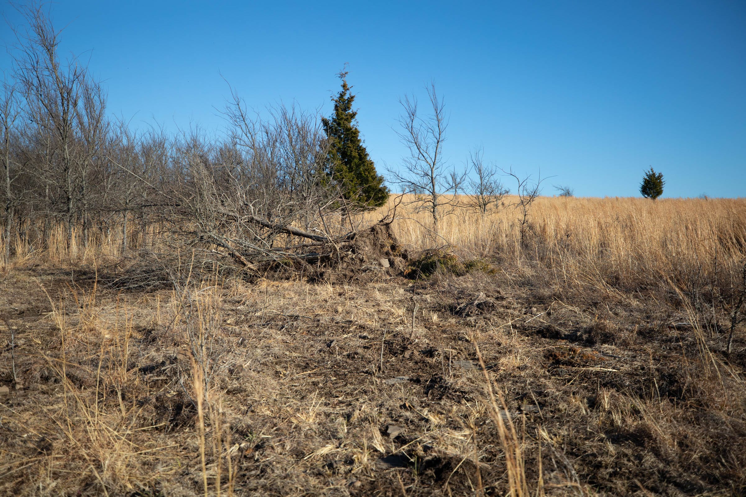Painted Horse Tract 54 photo 4