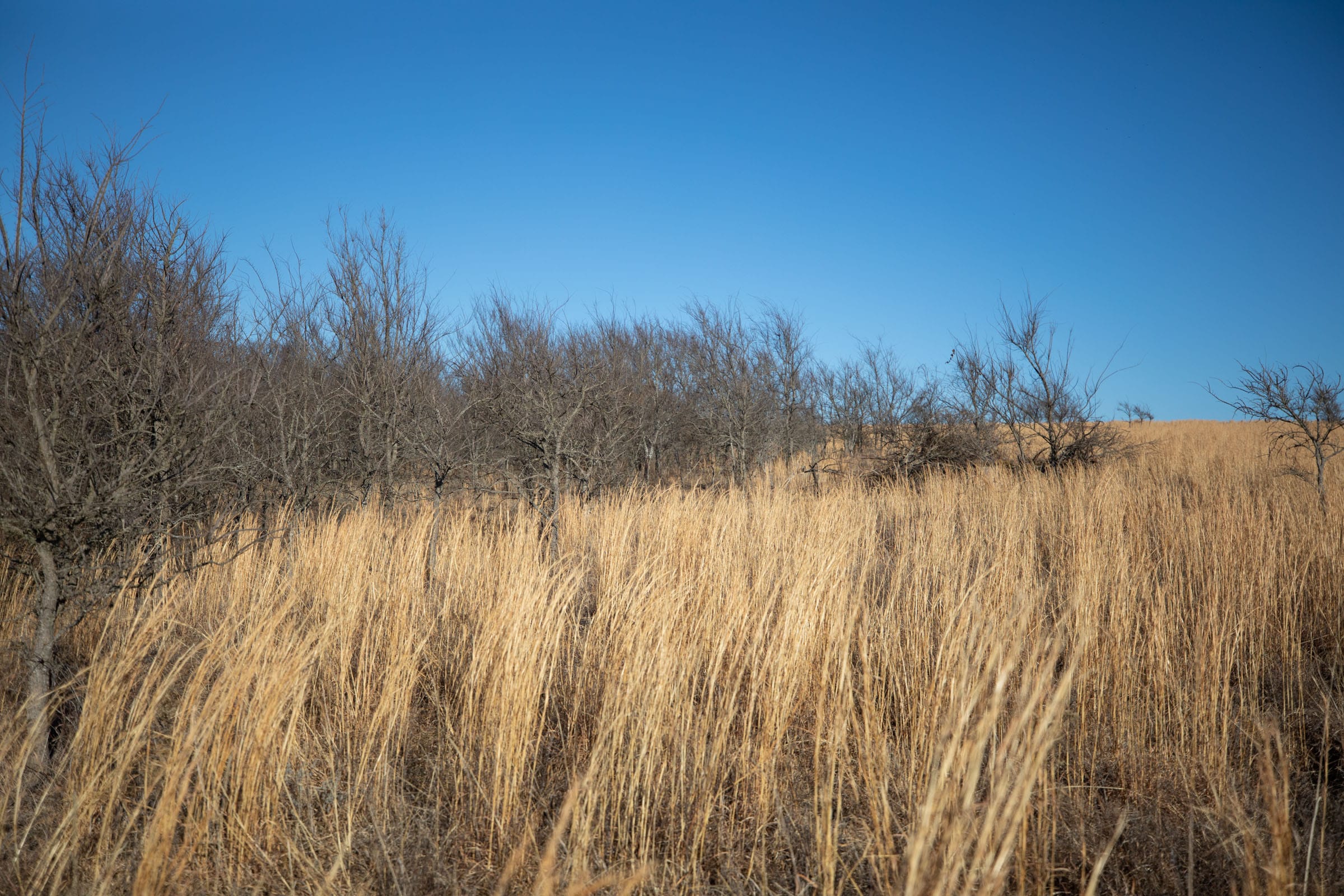 Painted Horse Tract 54 photo 8