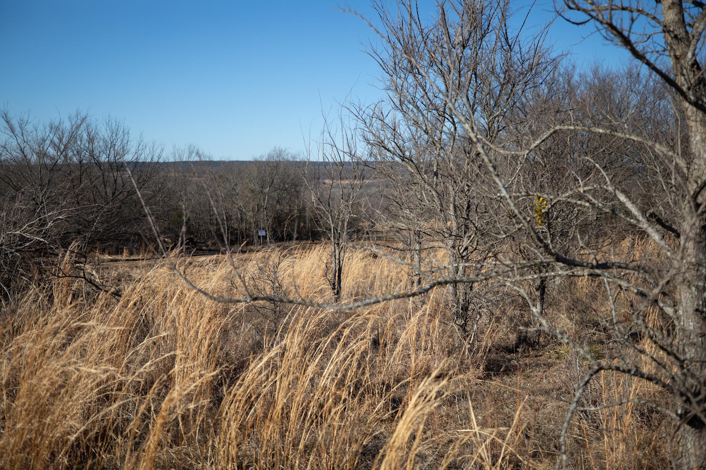 Painted Horse Tract 54 photo 9