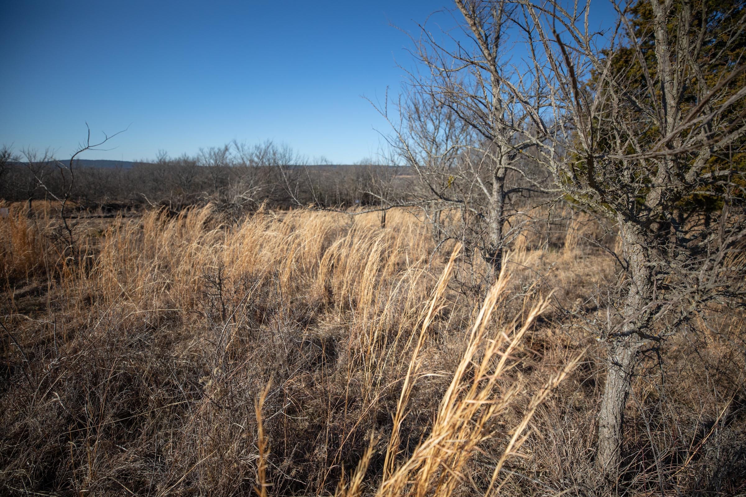 Painted Horse Tract 54 photo 10