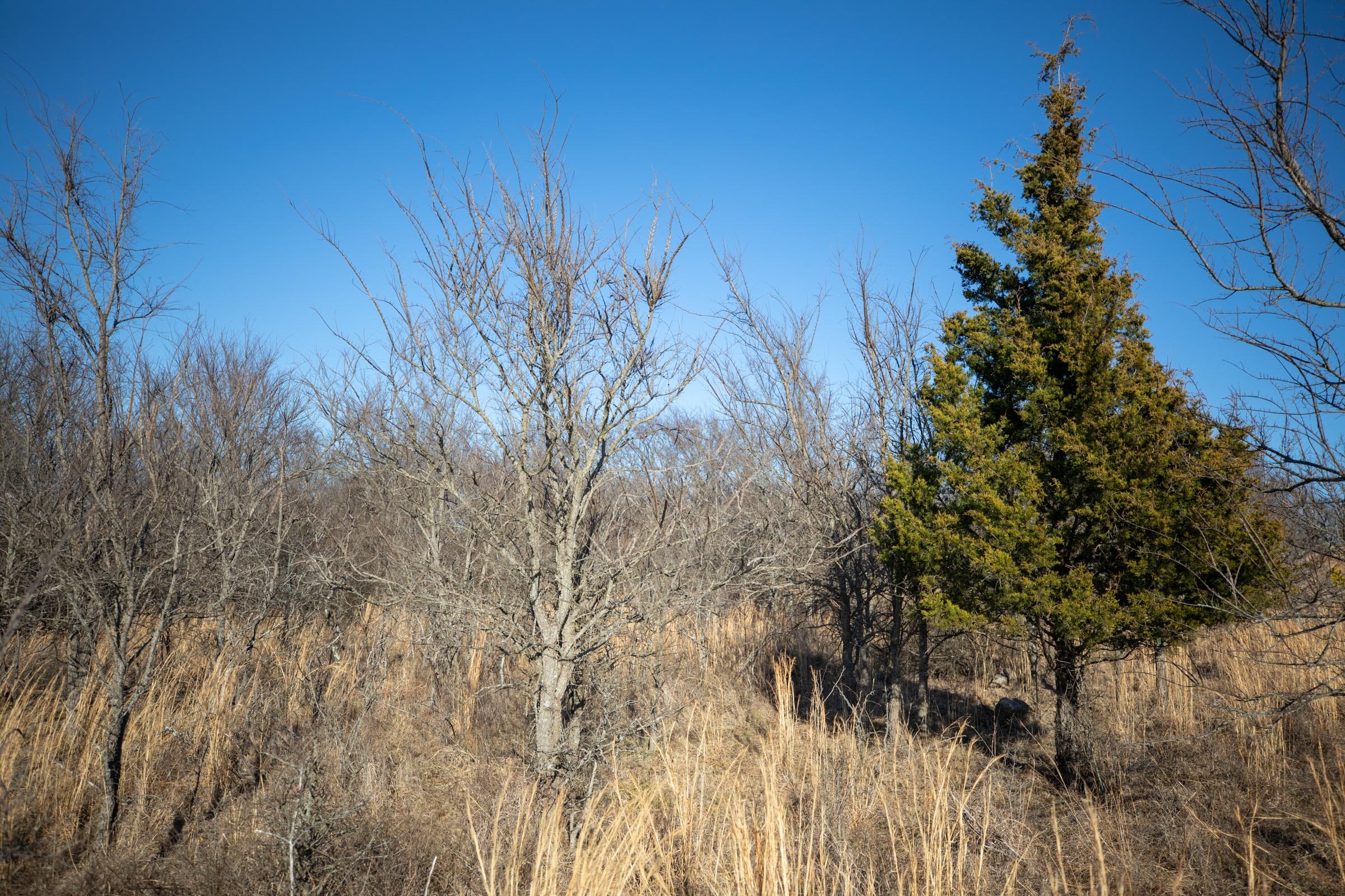 Painted Horse Tract 54 photo 11