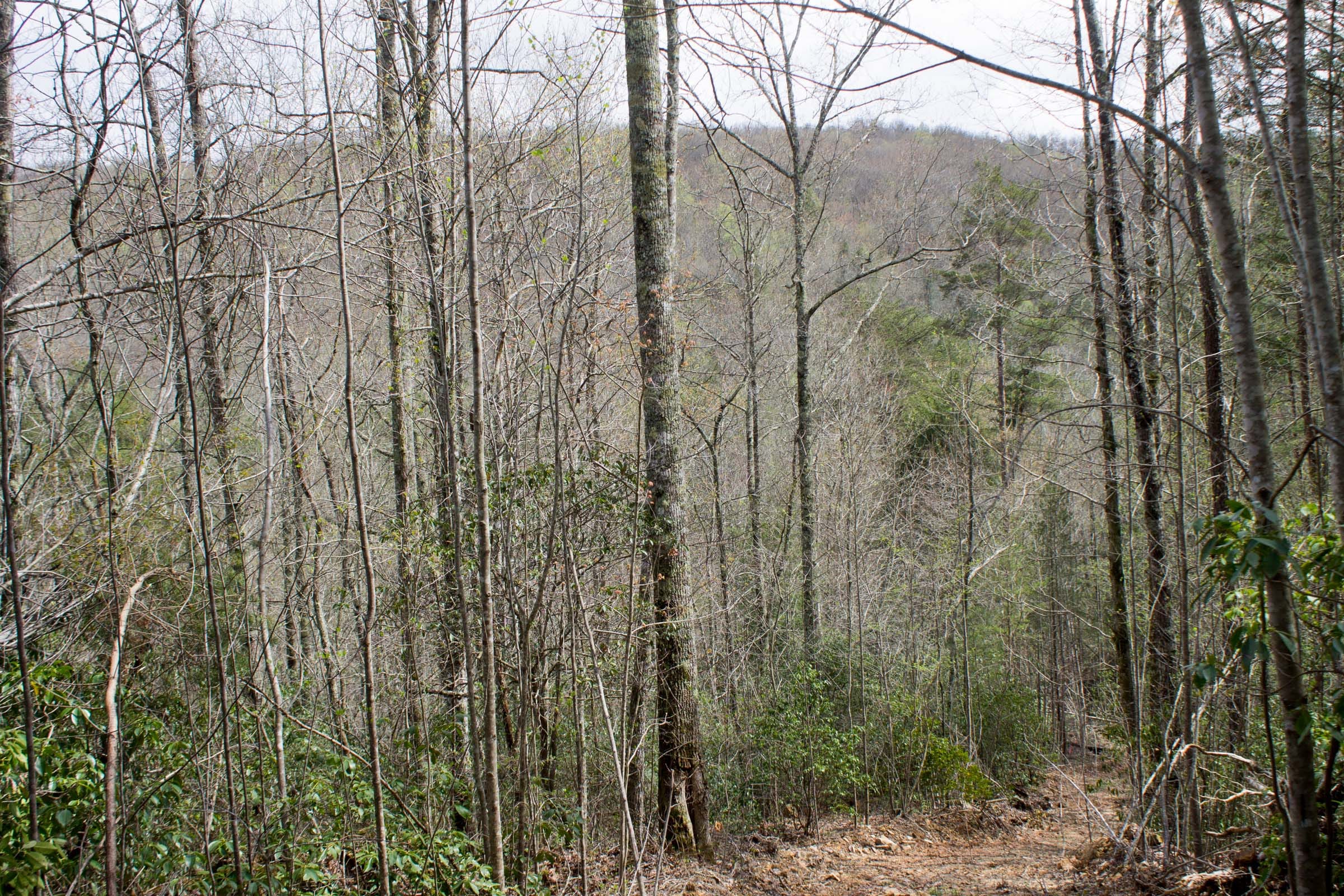 Hidden Hills Tract 26 photo 1