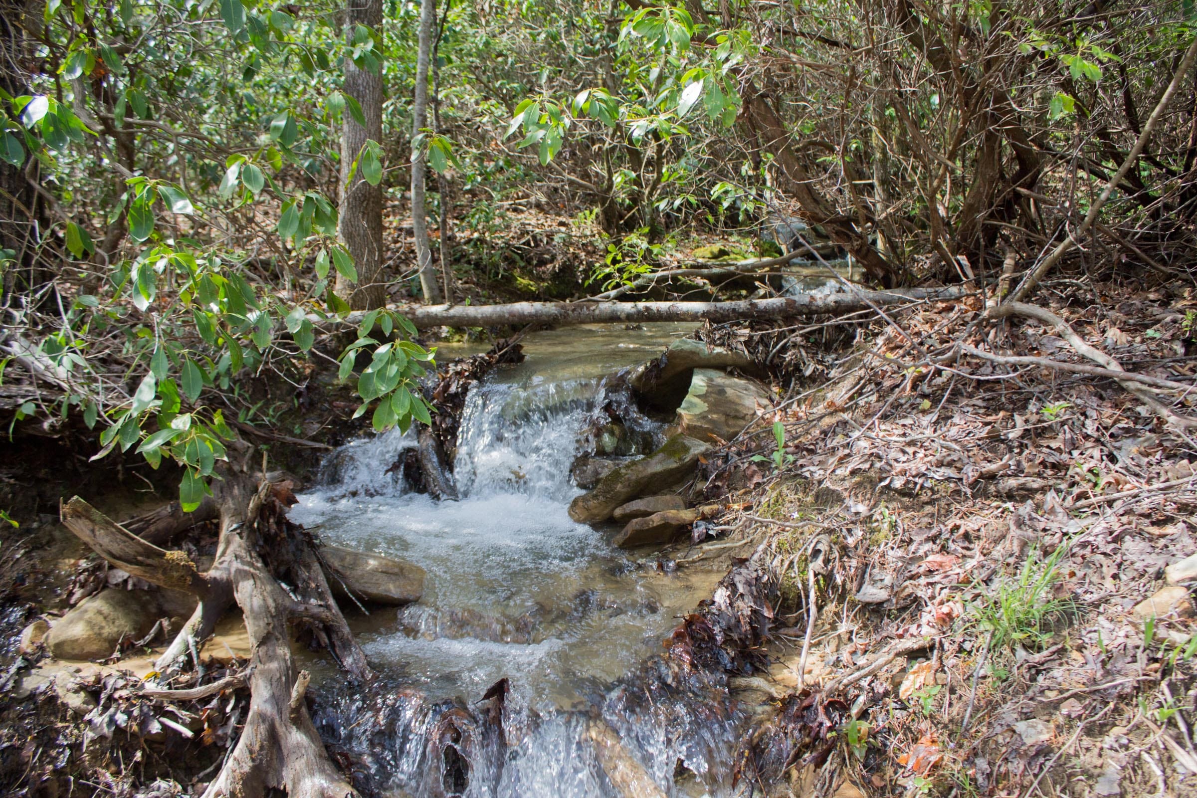 Hidden Hills Tract 26 photo 2