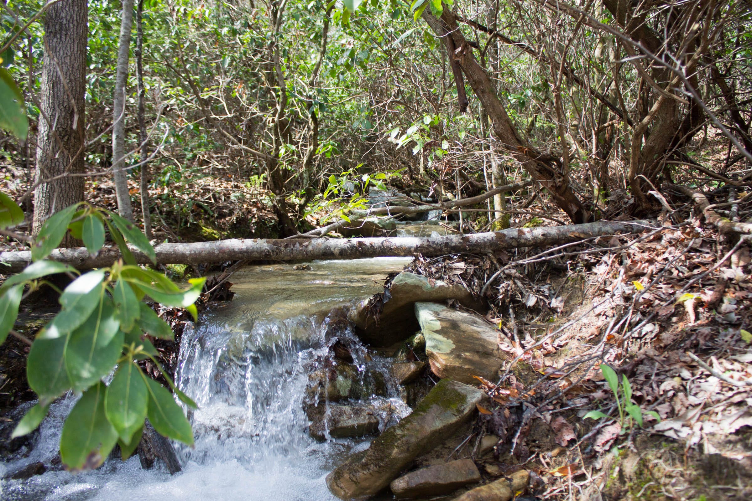 Hidden Hills Tract 26 photo 3