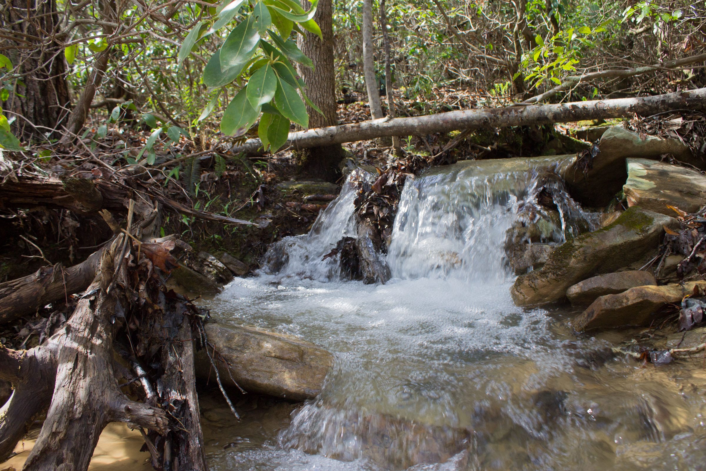 Hidden Hills Tract 26 photo 4