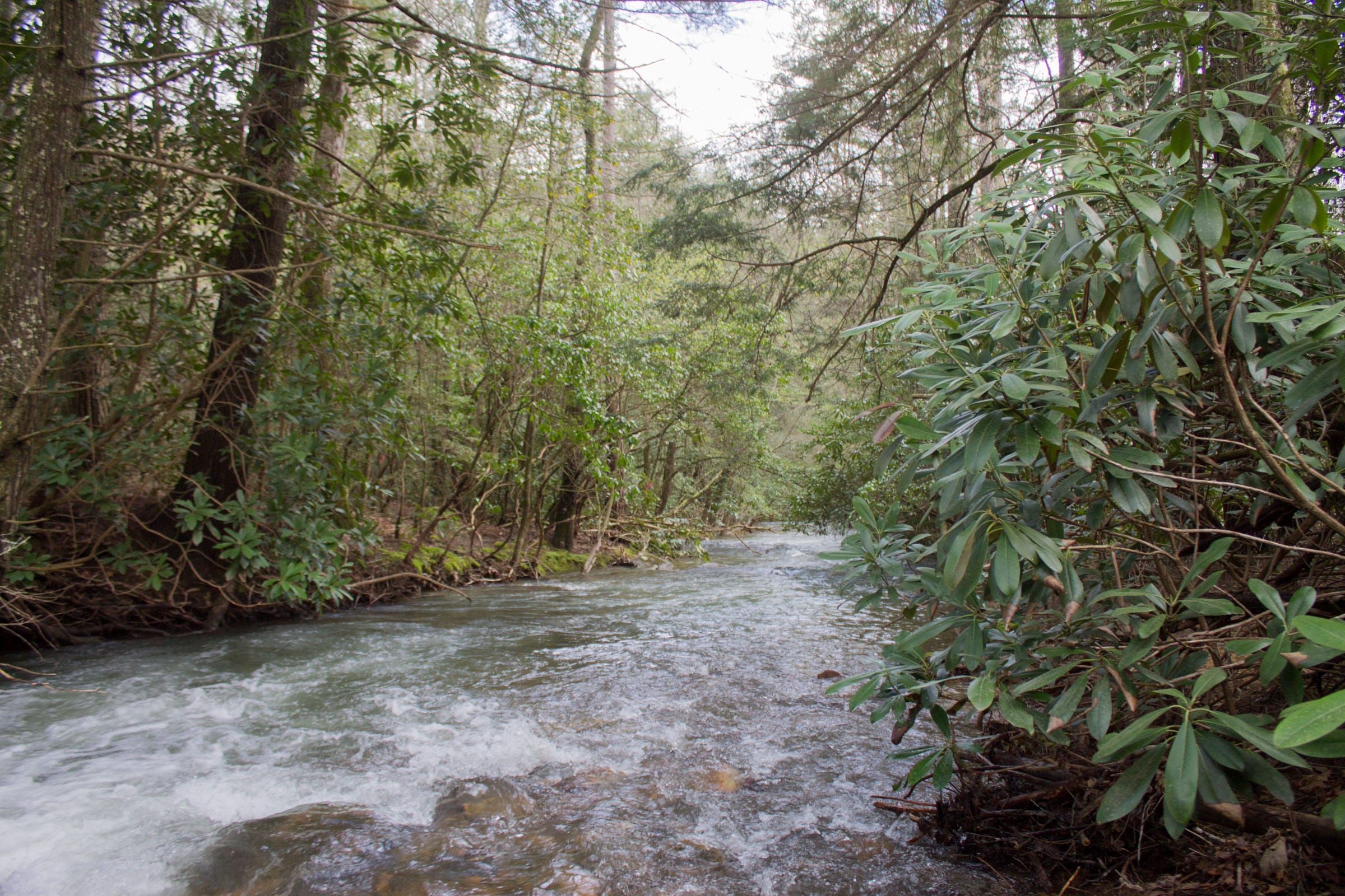 Hidden Hills Tract 26 photo 5
