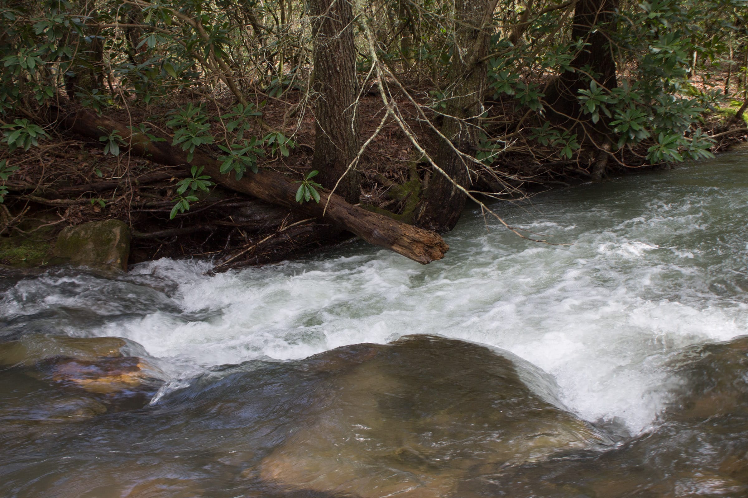 Hidden Hills Tract 26 photo 6