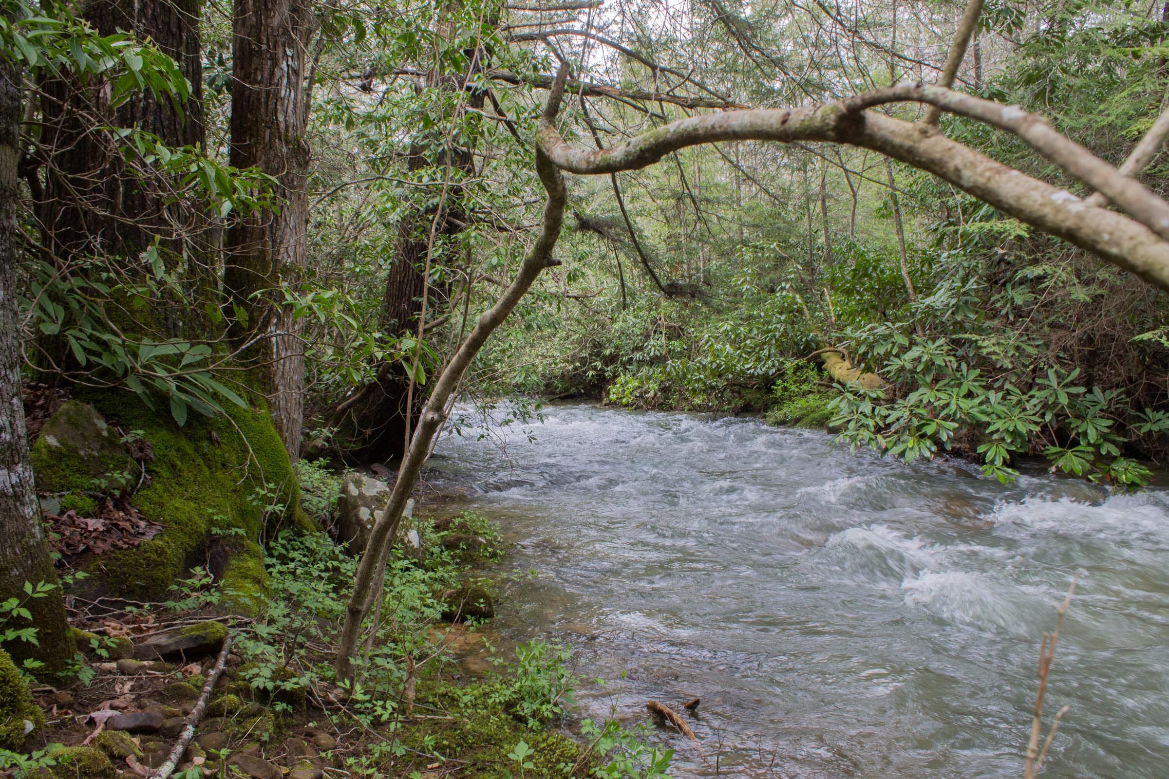 Hidden Hills Tract 26 photo 7