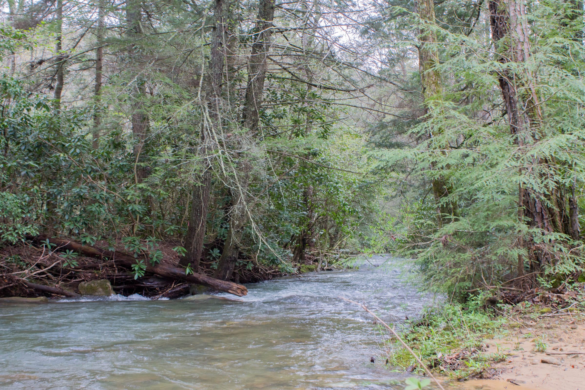 Hidden Hills Tract 26 photo 9