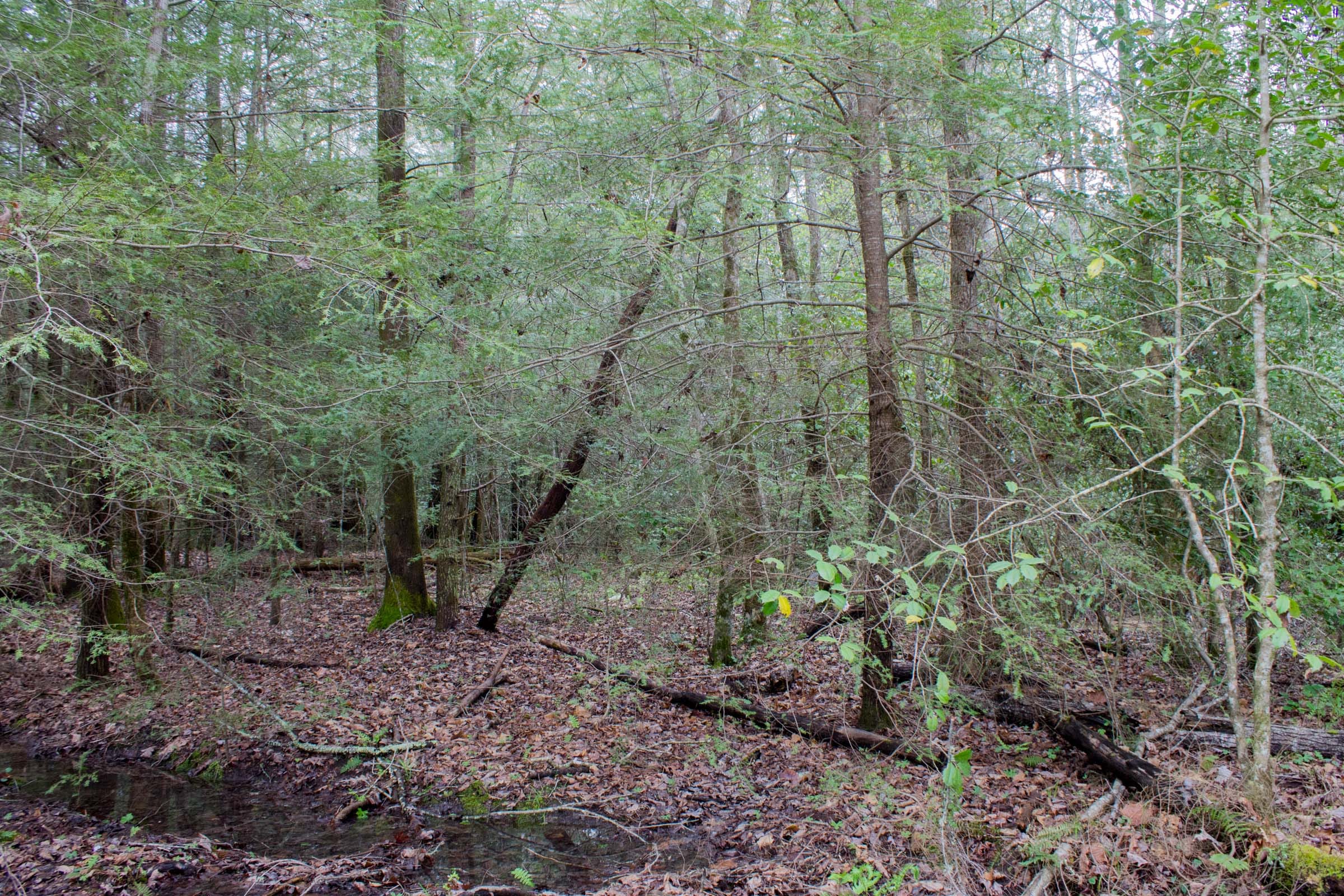 Hidden Hills Tract 26 photo 10