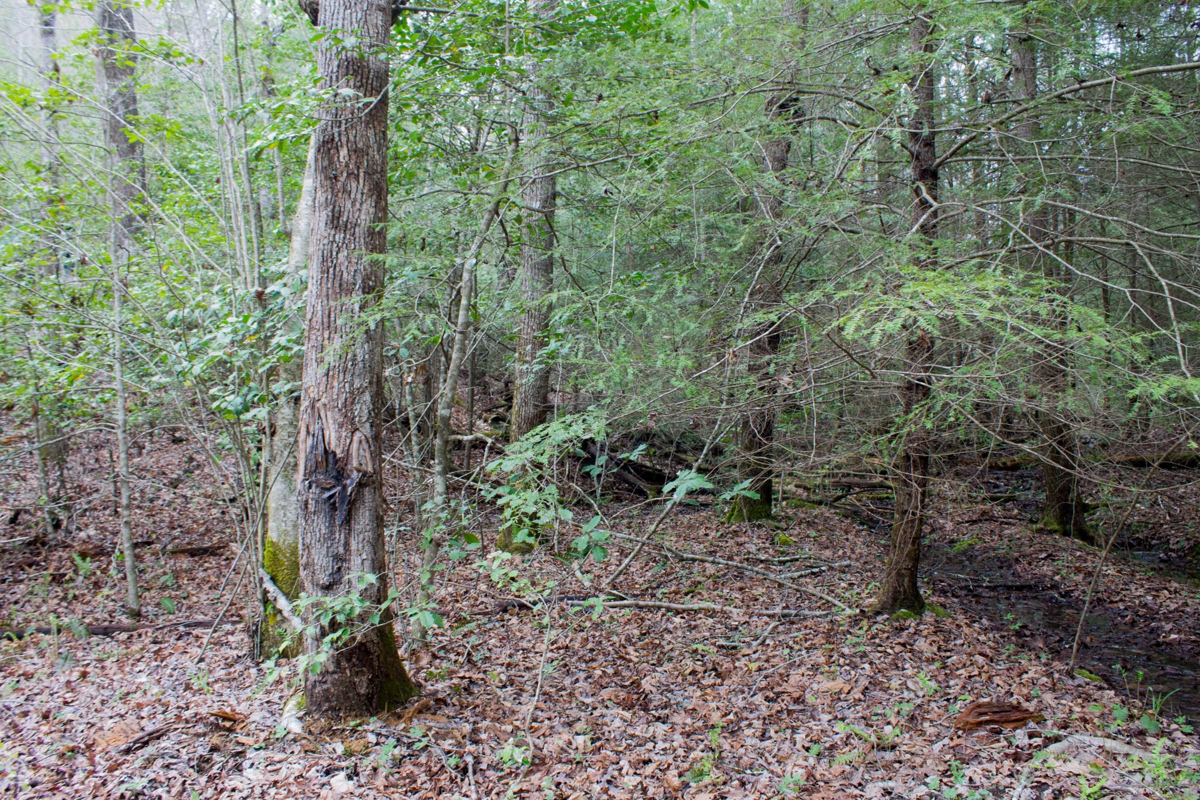 Hidden Hills Tract 26 photo 11