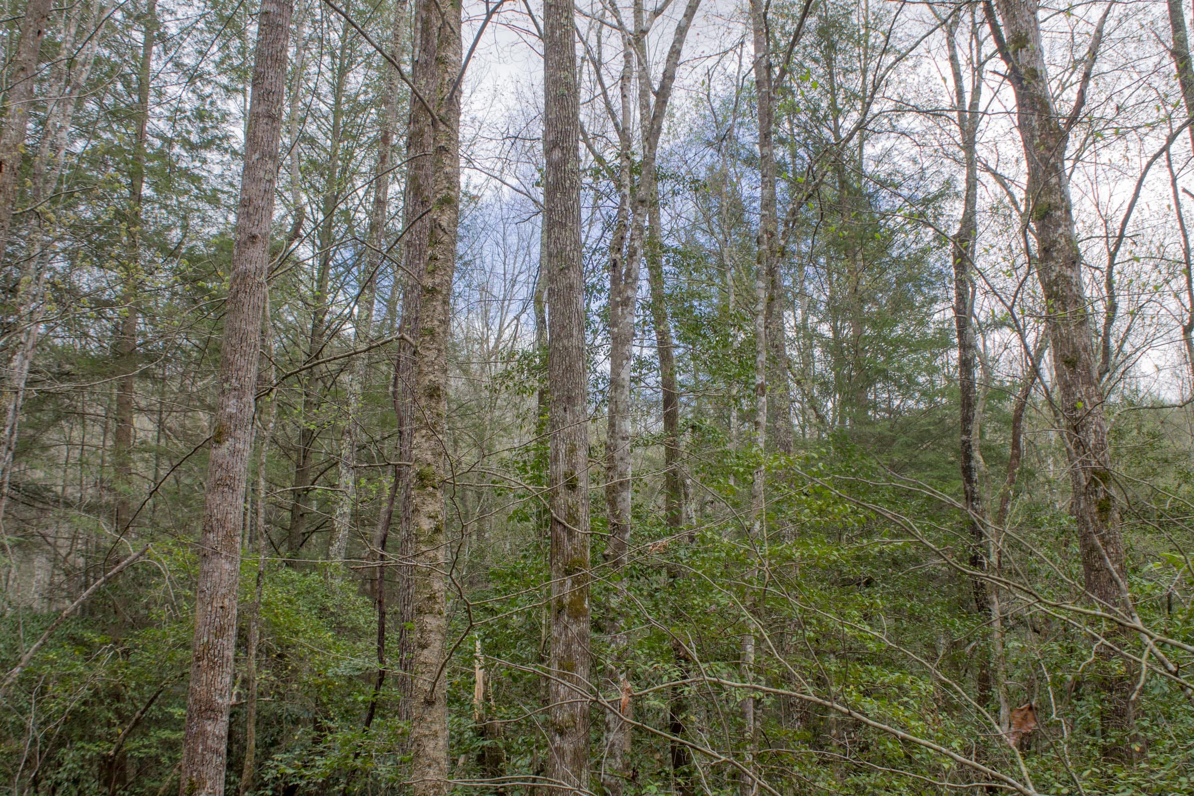Hidden Hills Tract 26 photo 12