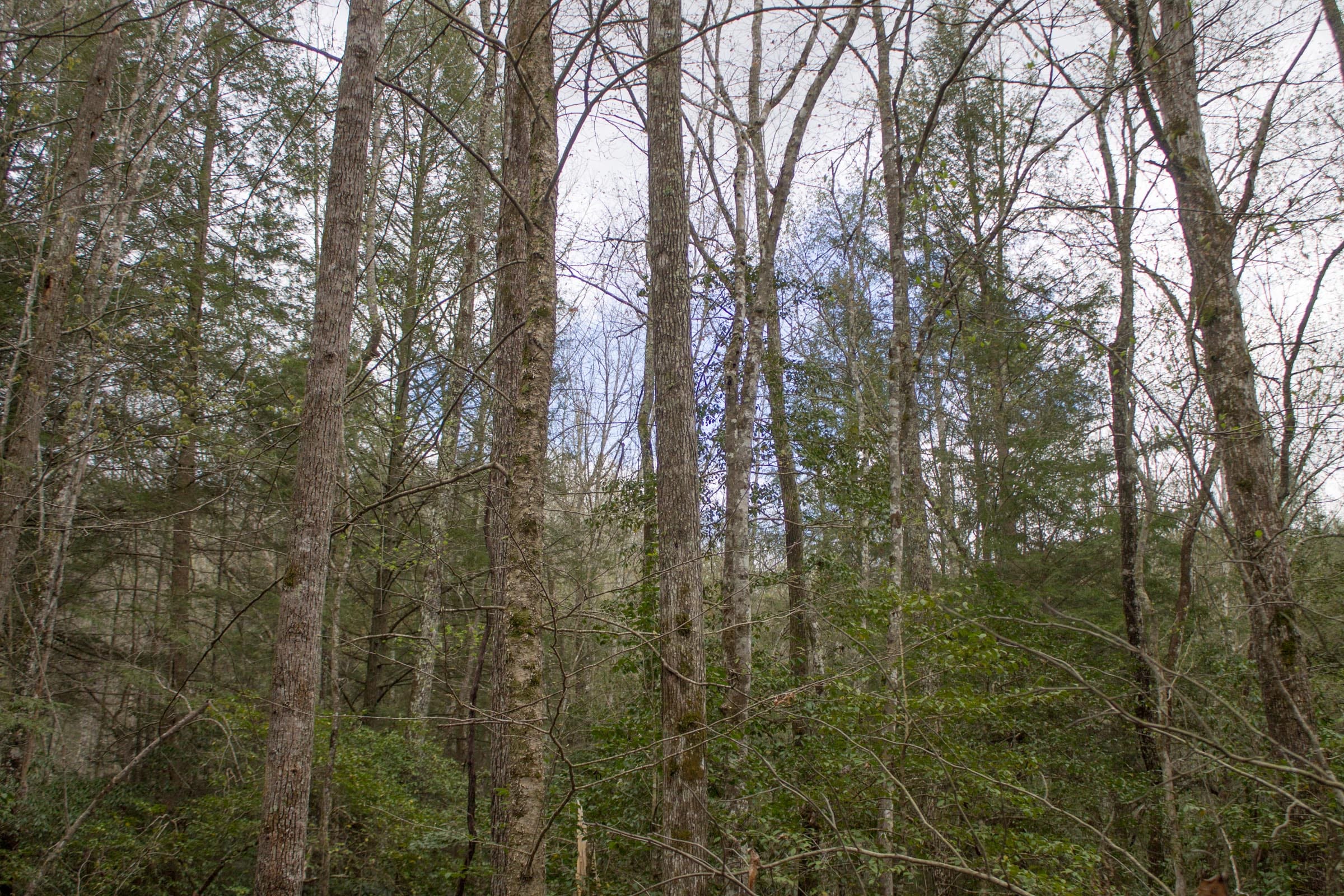 Hidden Hills Tract 26 photo 13