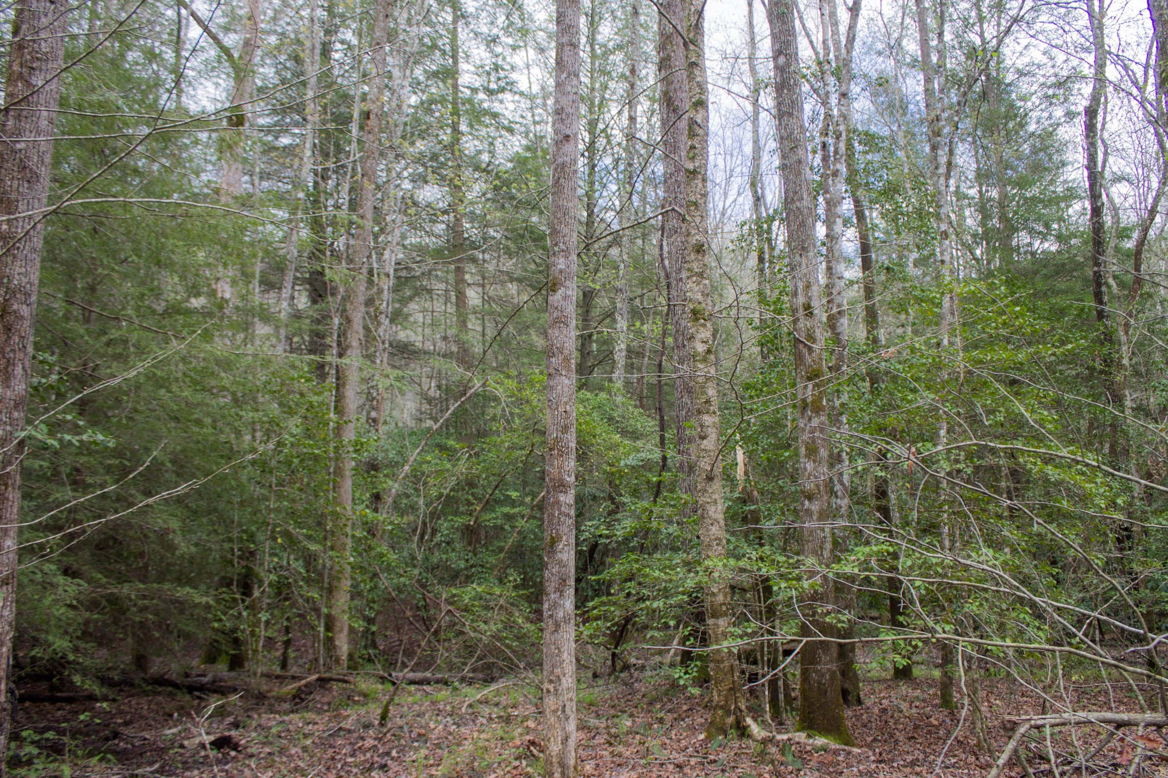 Hidden Hills Tract 26 photo 14