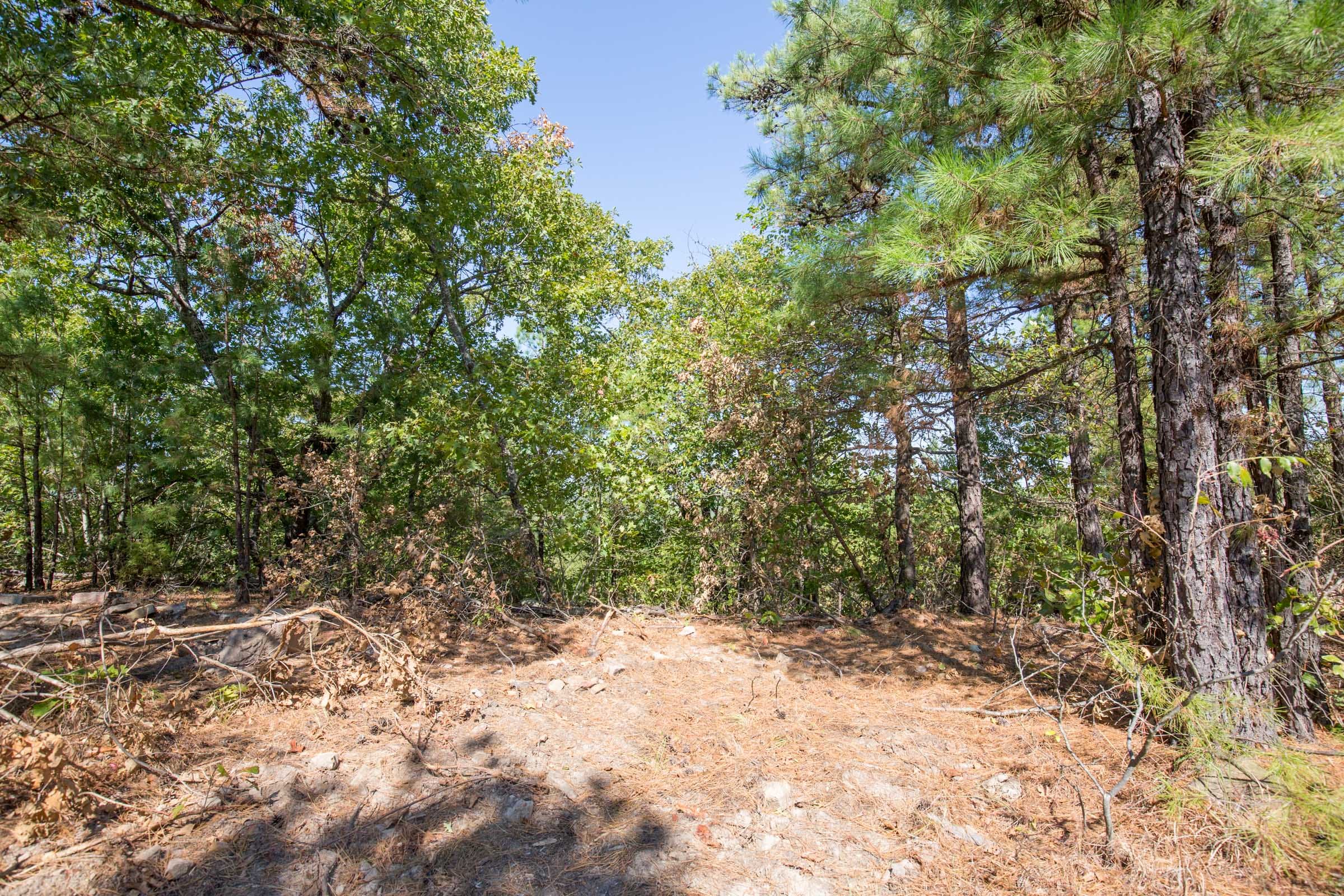 Stone Bridge Phase I Tract 71 photo 3