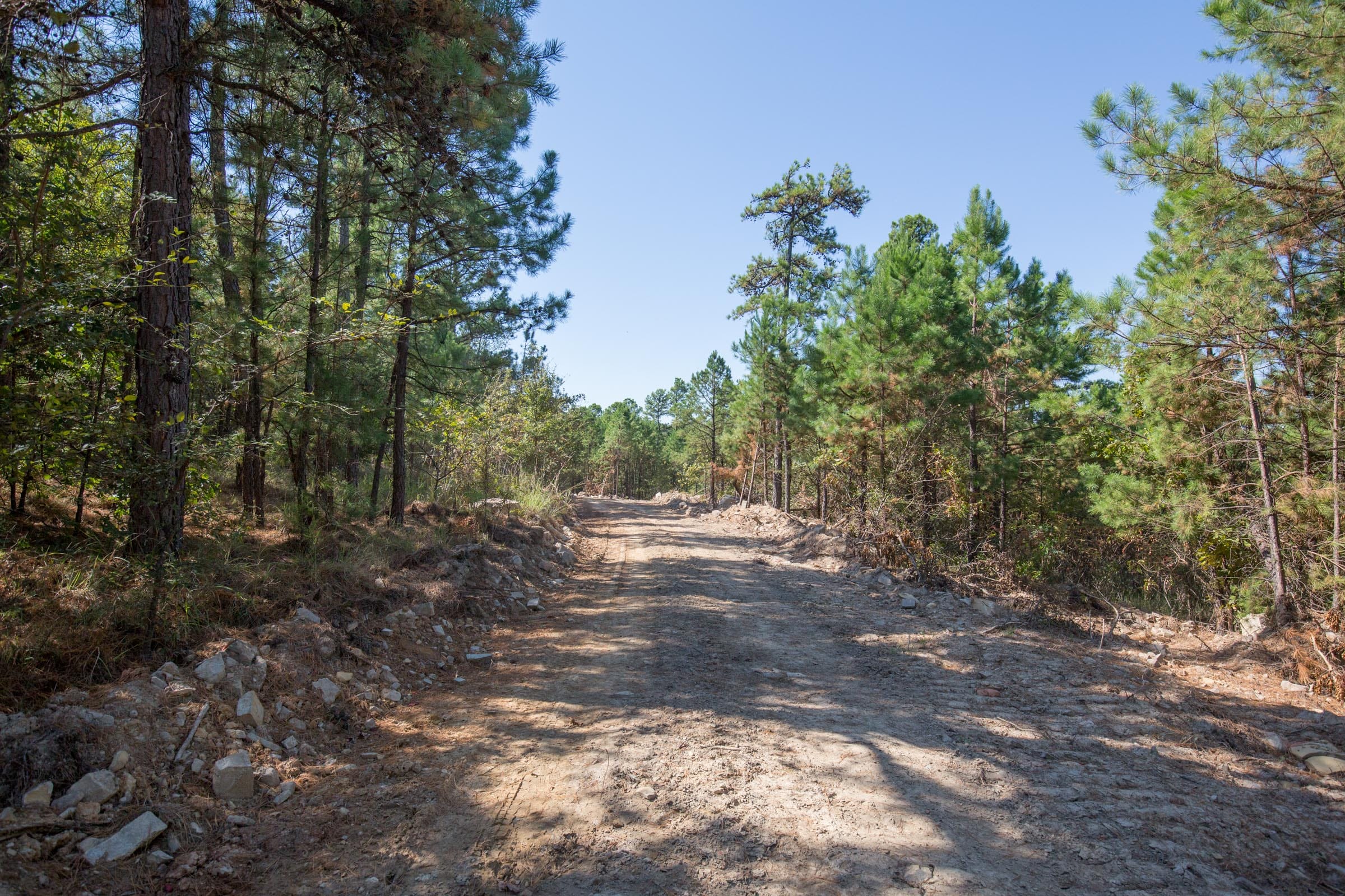 Stone Bridge Phase I Tract 71 photo 6
