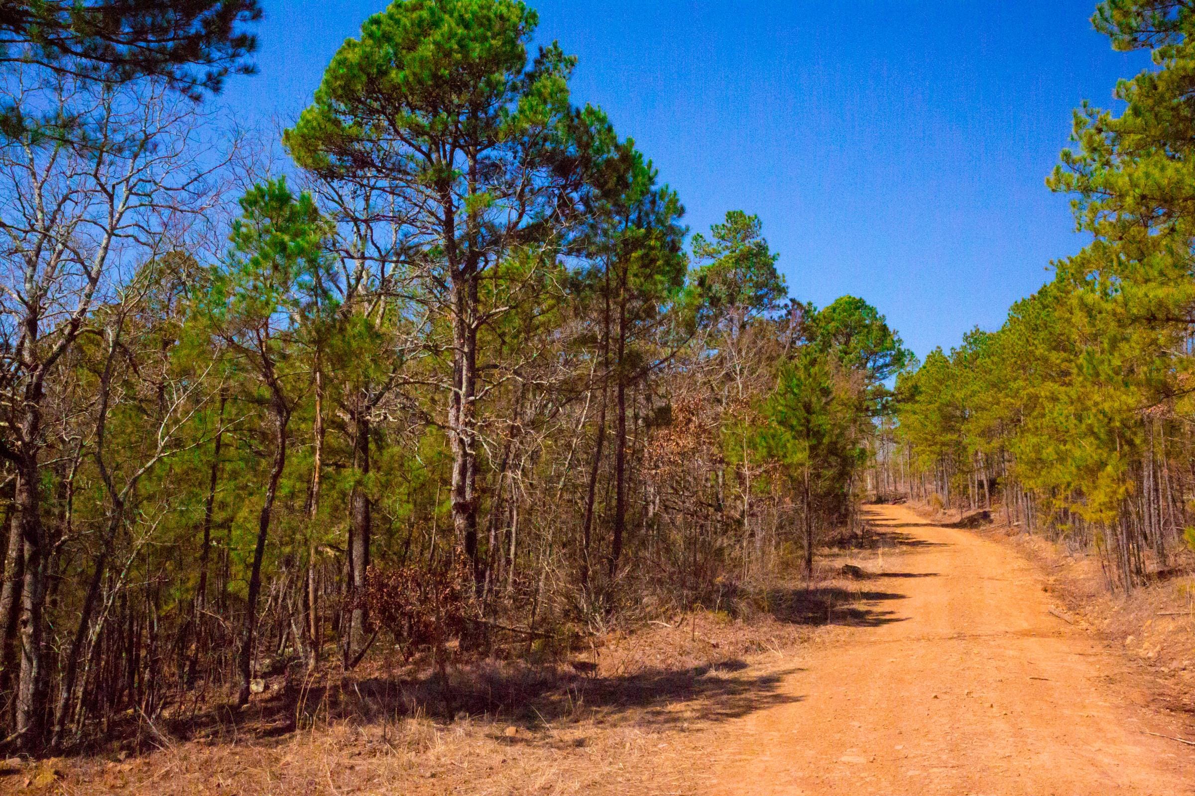 Stone Creek Phase II Tract 134 photo 6