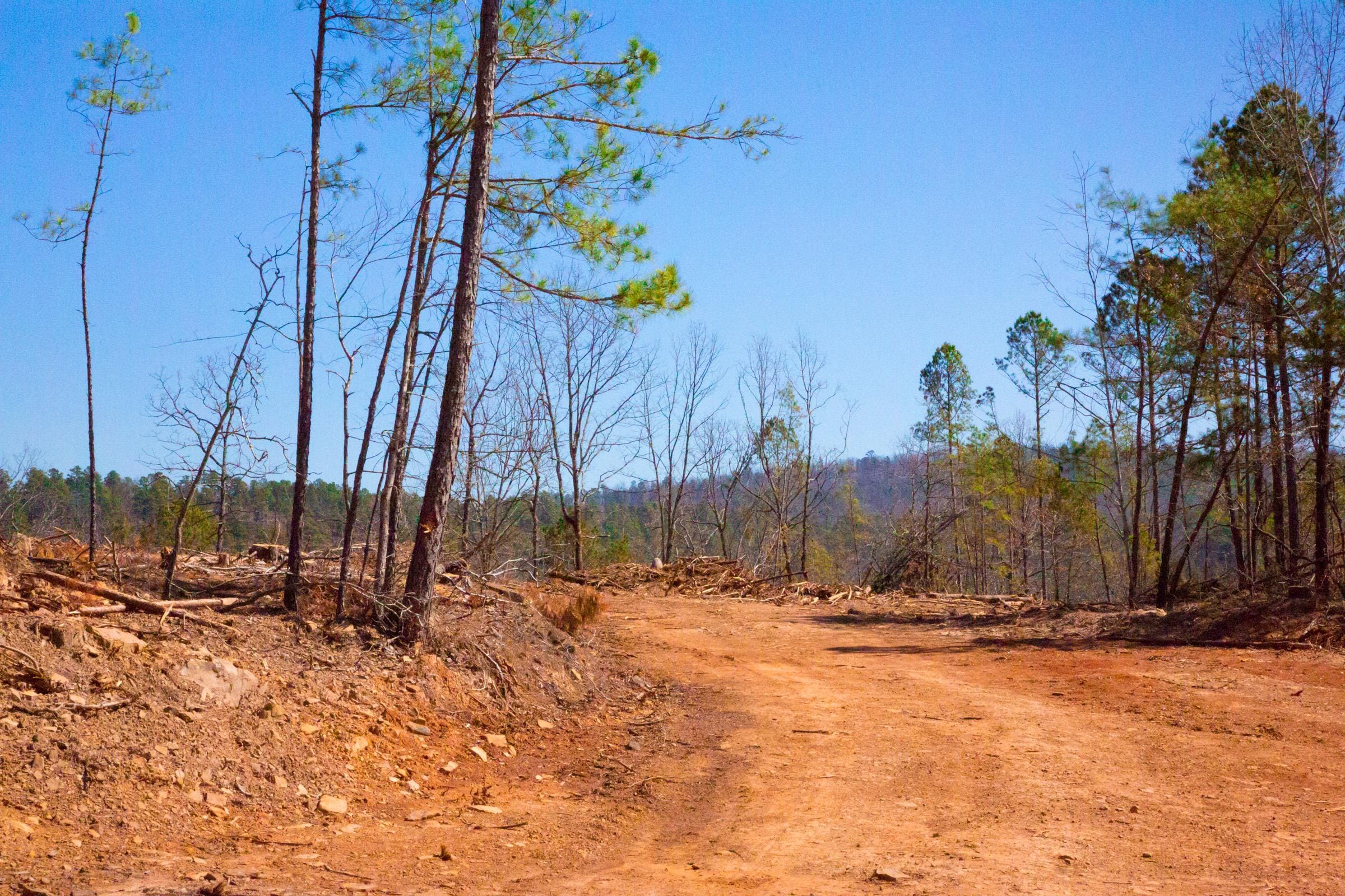 Stone Creek Phase II Tract 134 photo 2