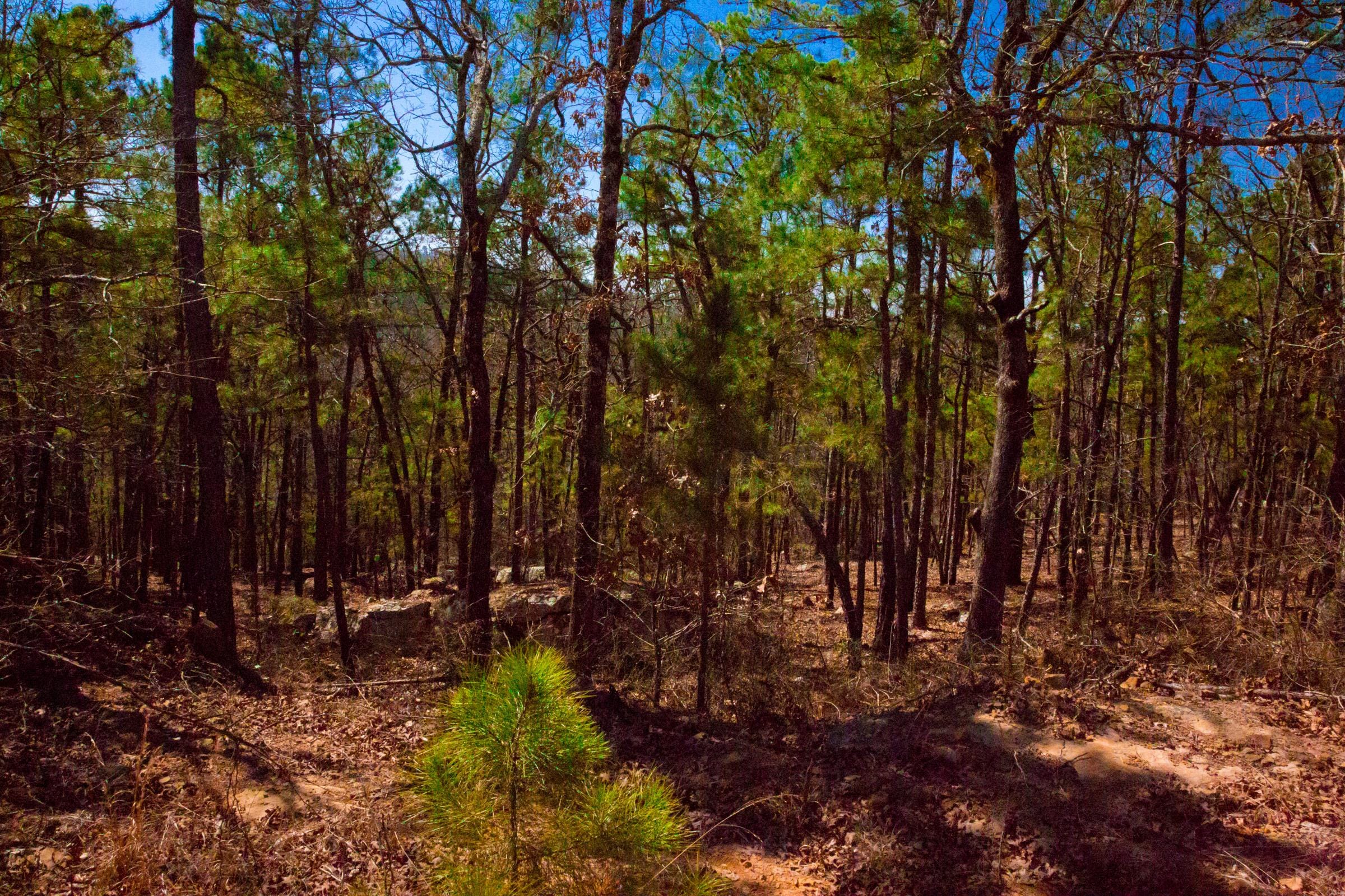Stone Creek Phase II Tract 134 photo 7