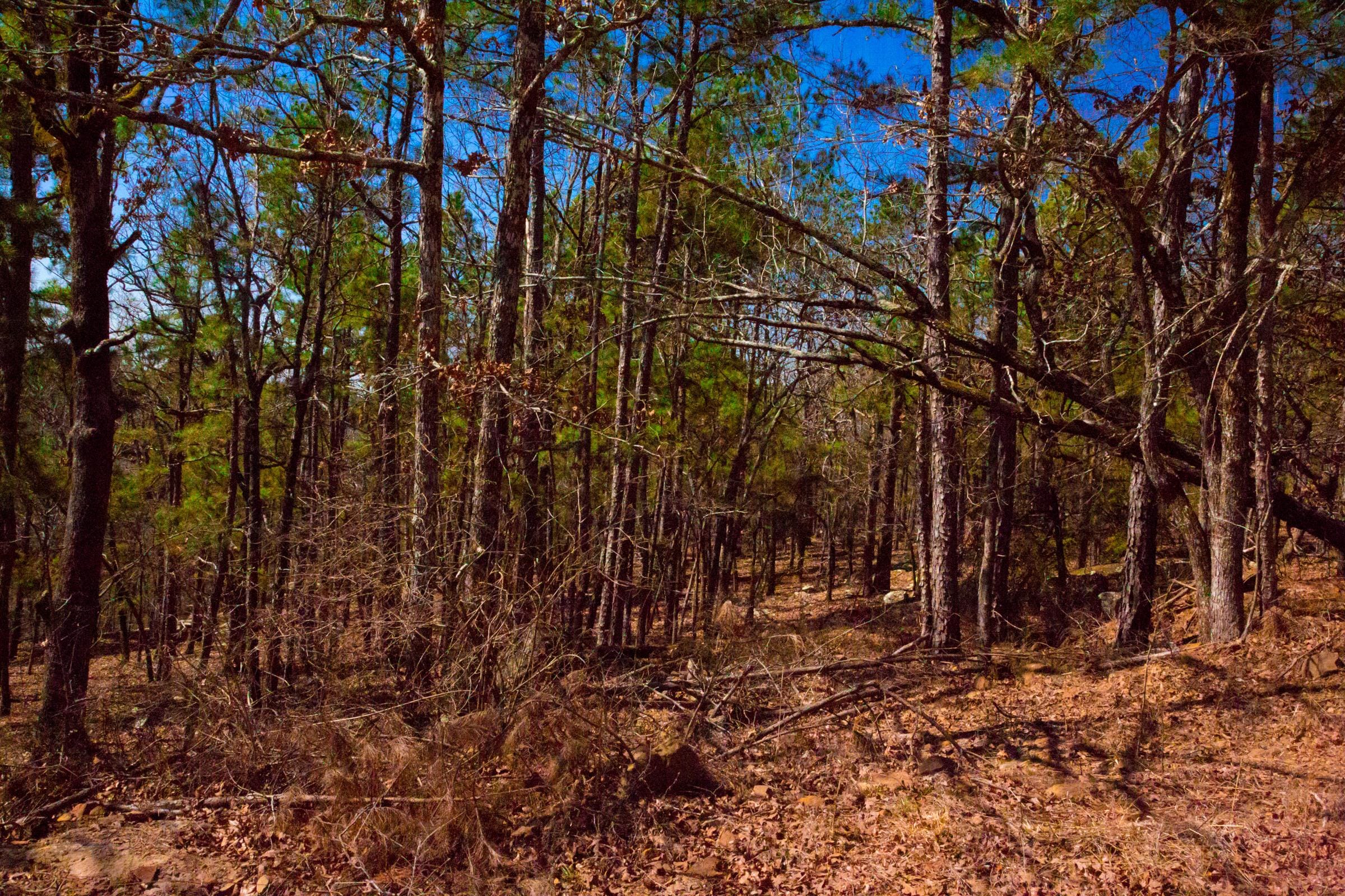 Stone Creek Phase II Tract 134 photo 8