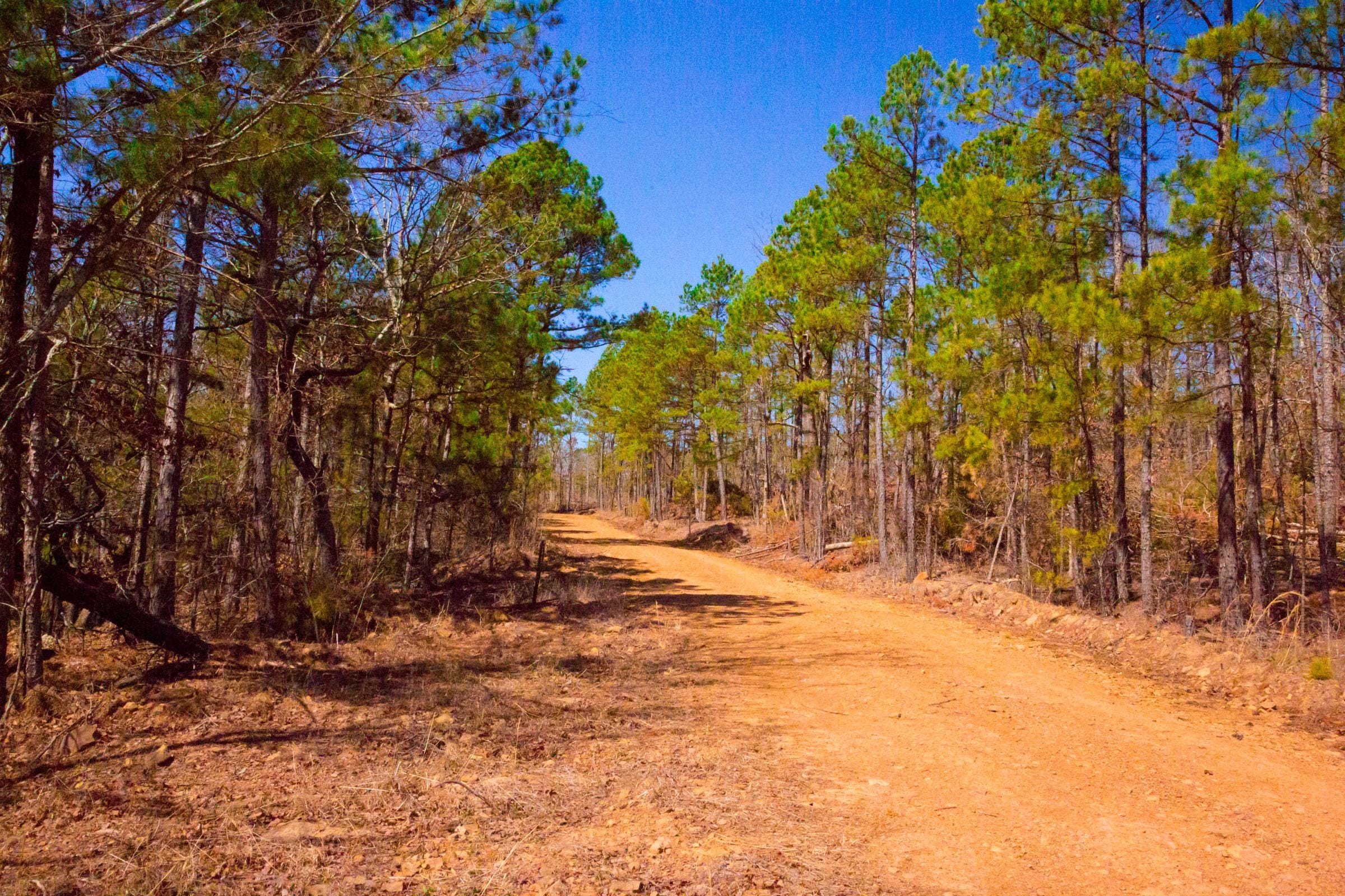 Stone Creek Phase II Tract 134 photo 9
