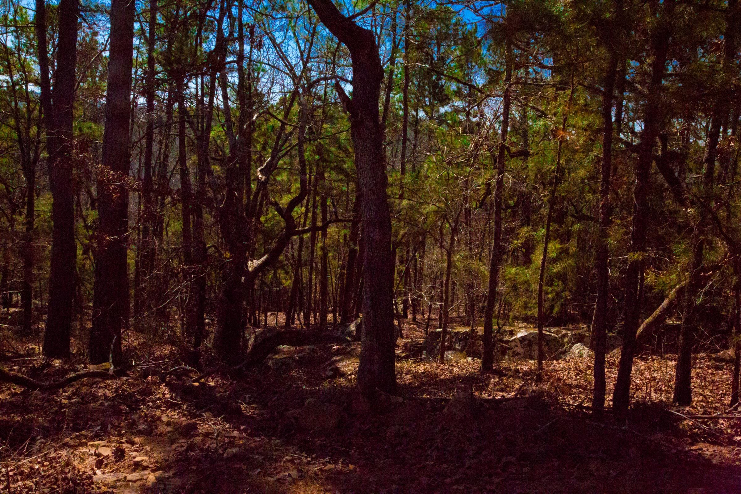 Stone Creek Phase II Tract 134 photo 10
