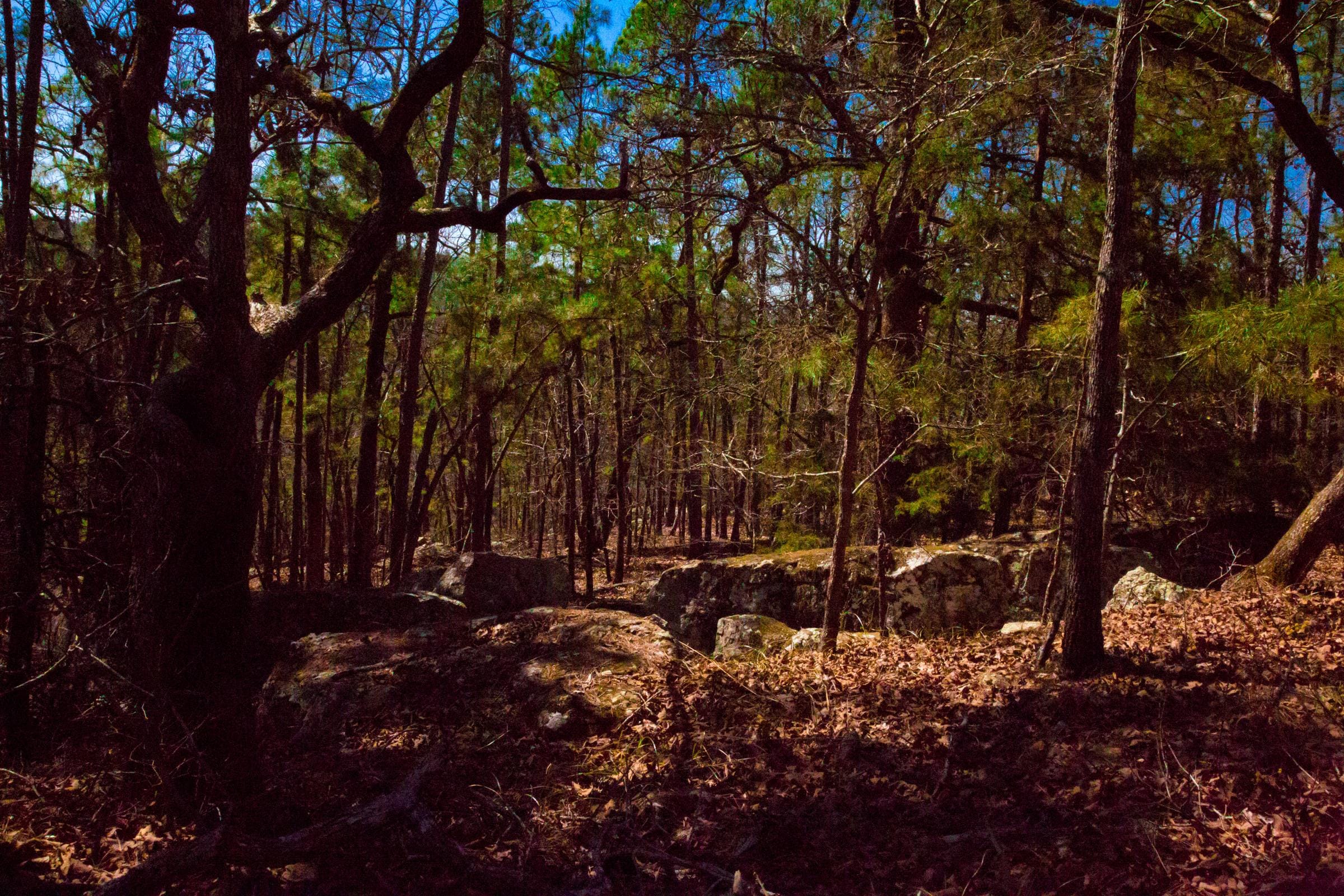 Stone Creek Phase II Tract 134 photo 11