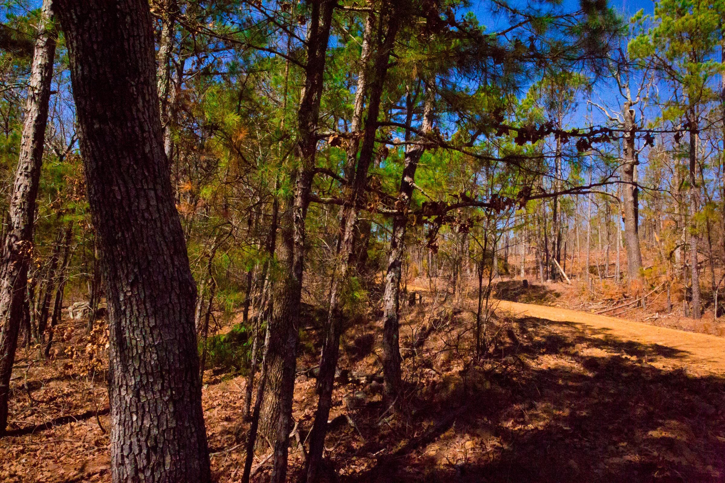 Stone Creek Phase II Tract 134 photo 12
