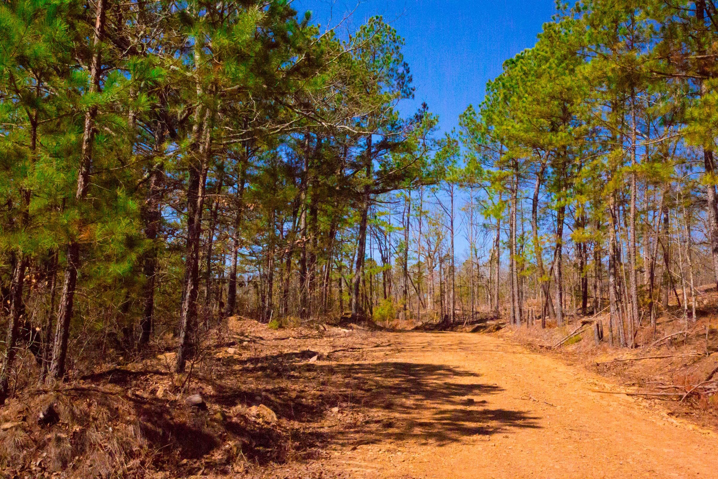 Stone Creek Phase II Tract 134 photo 13