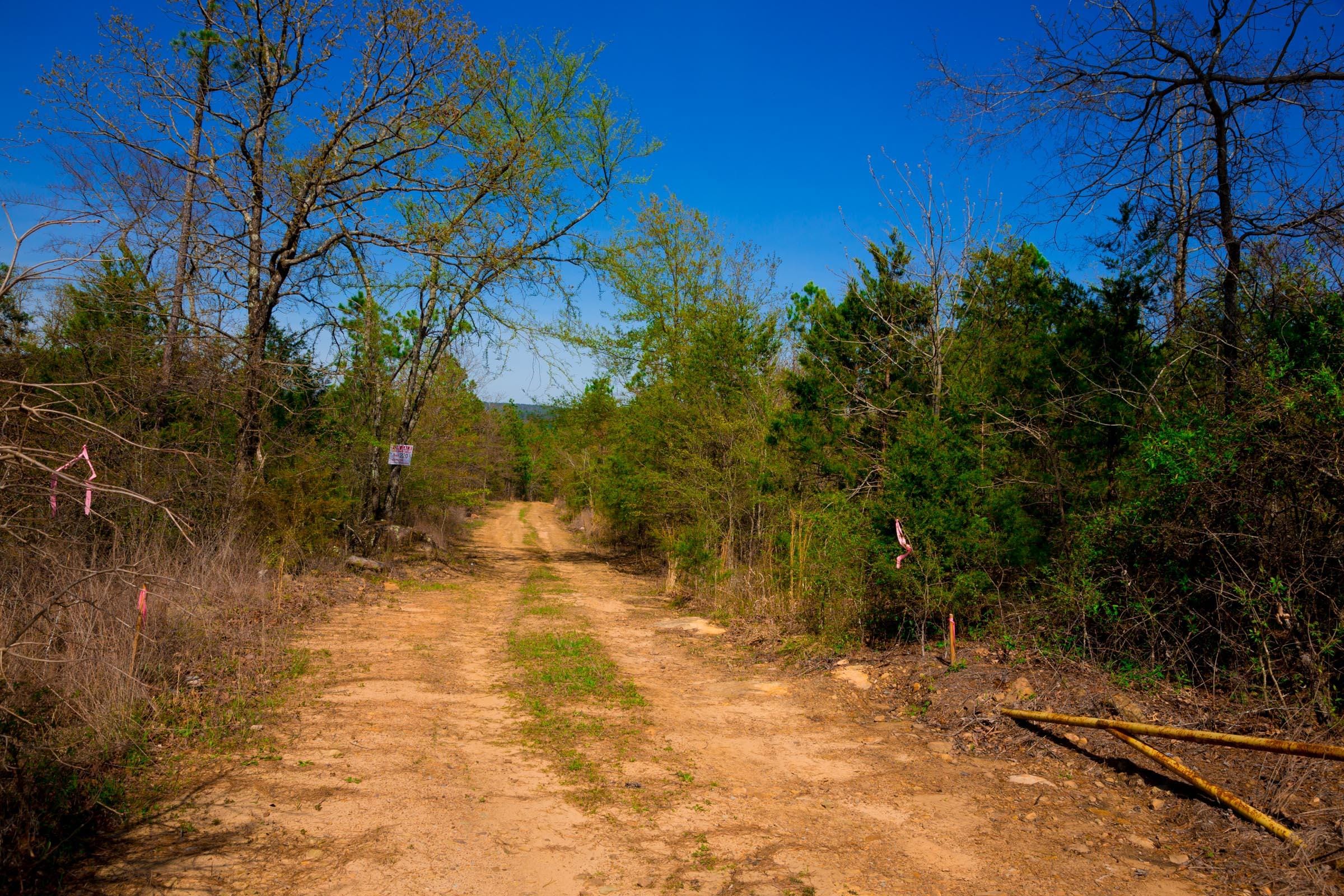 Stone Creek Phase II Tract 219 photo 3
