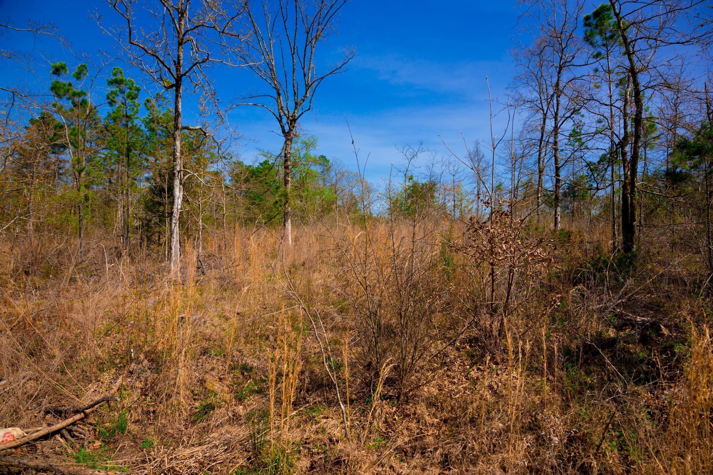 Stone Creek Phase II Tract 219 photo 4